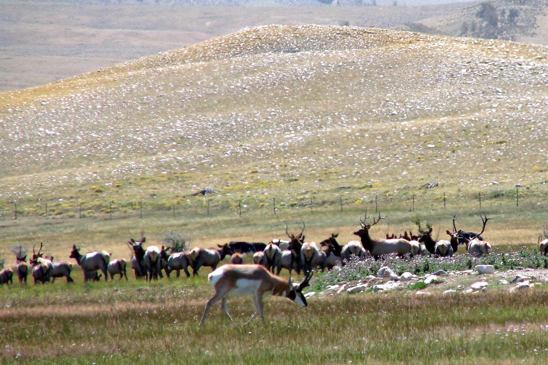 Bow Fiddle Ranch property picture 3 of 4