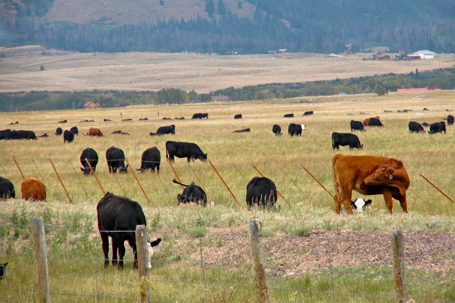 Bow Fiddle Ranch property picture 2 of 4
