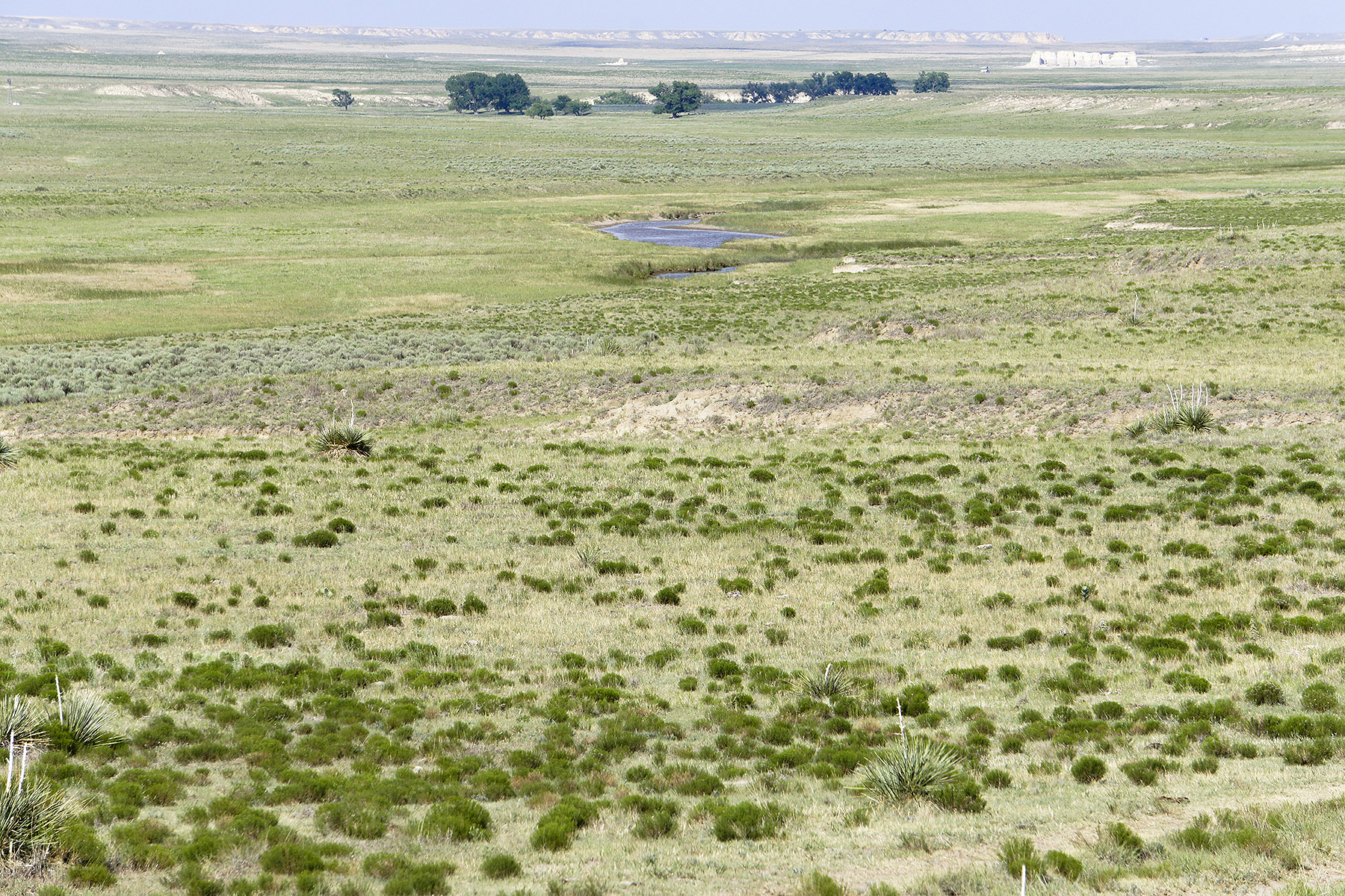 Hager Farm & Ranch property picture 4 of 7