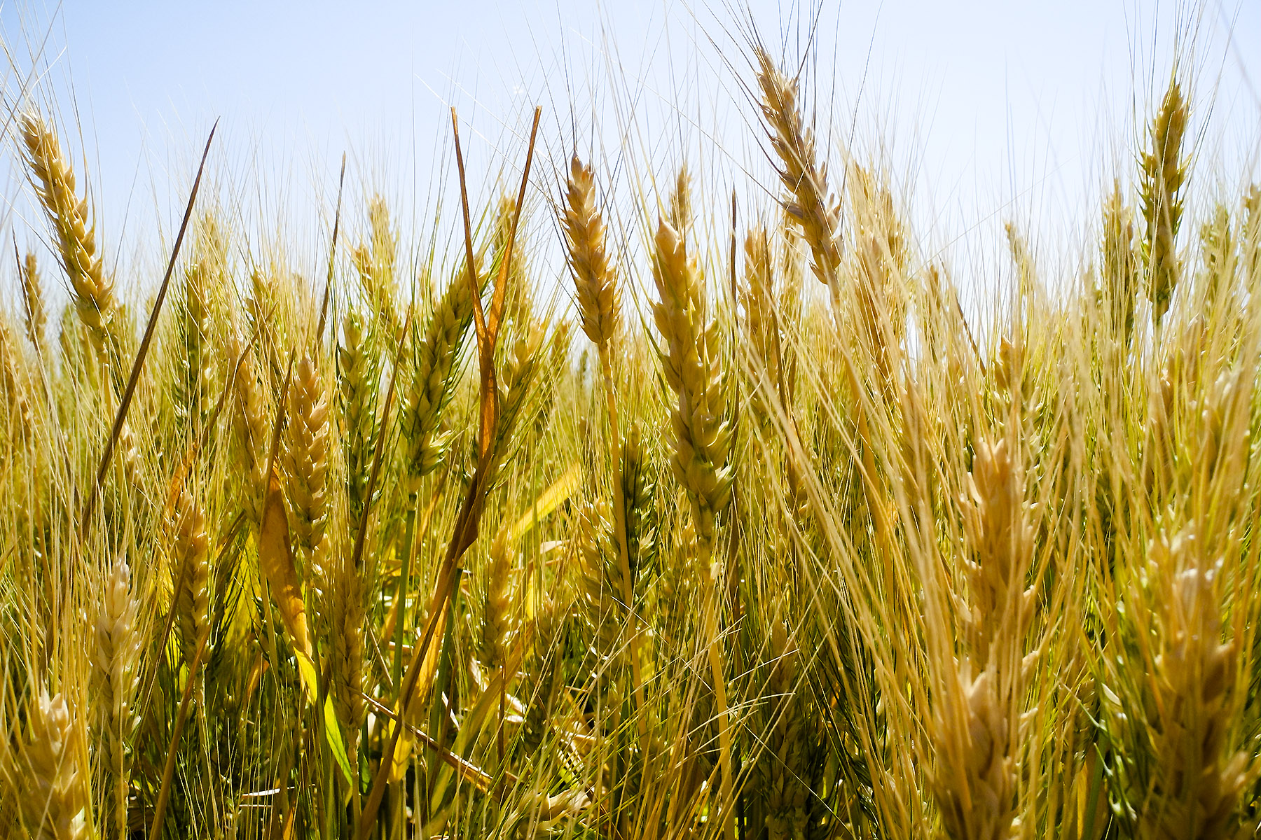 Hager Farm & Ranch property picture 6 of 7