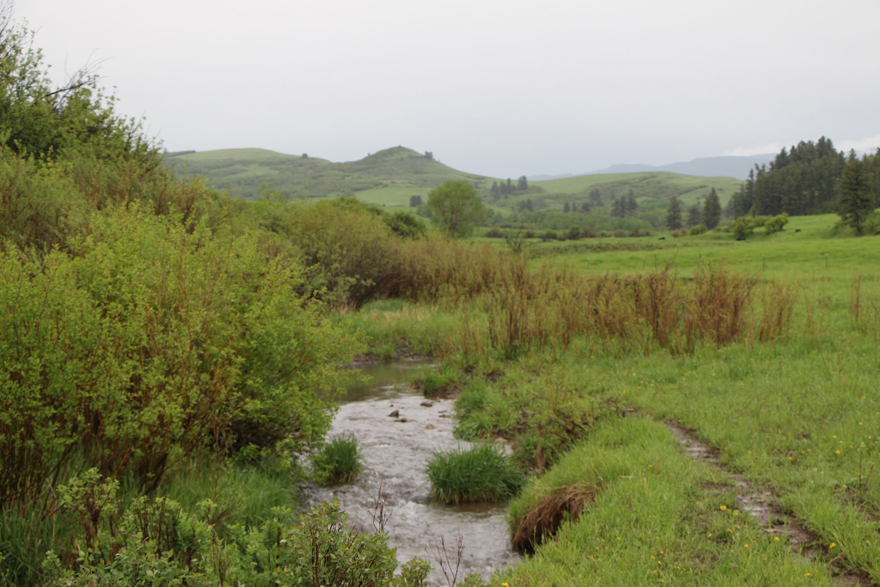 Beaver Creek Mountain Ranch property picture 10 of 10