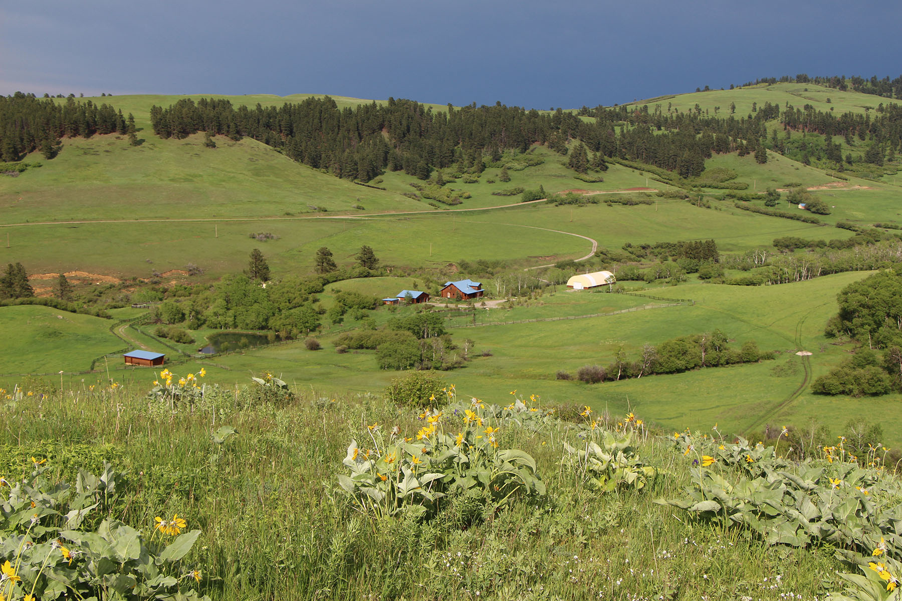 Beaver Creek Mountain Ranch property picture 6 of 10
