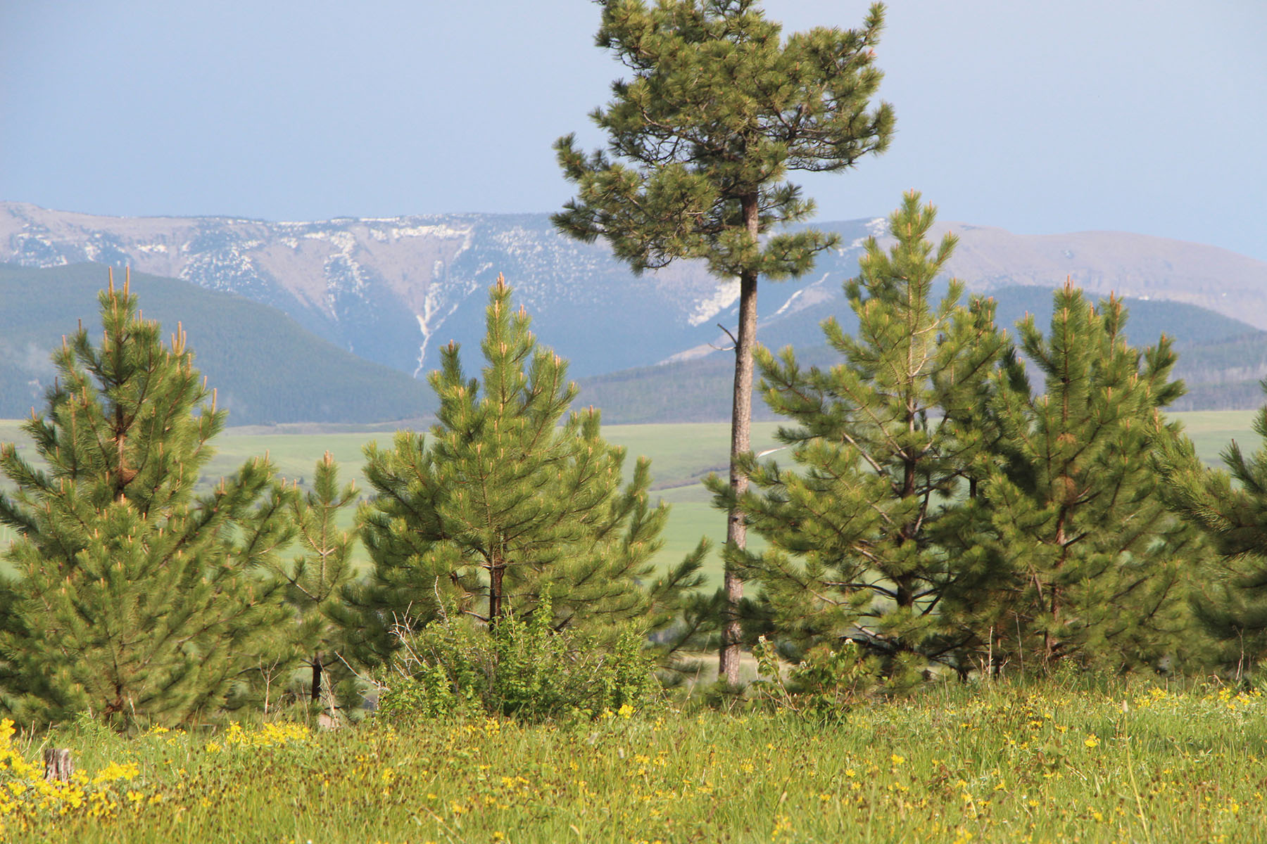 Beaver Creek Mountain Ranch property picture 5 of 10