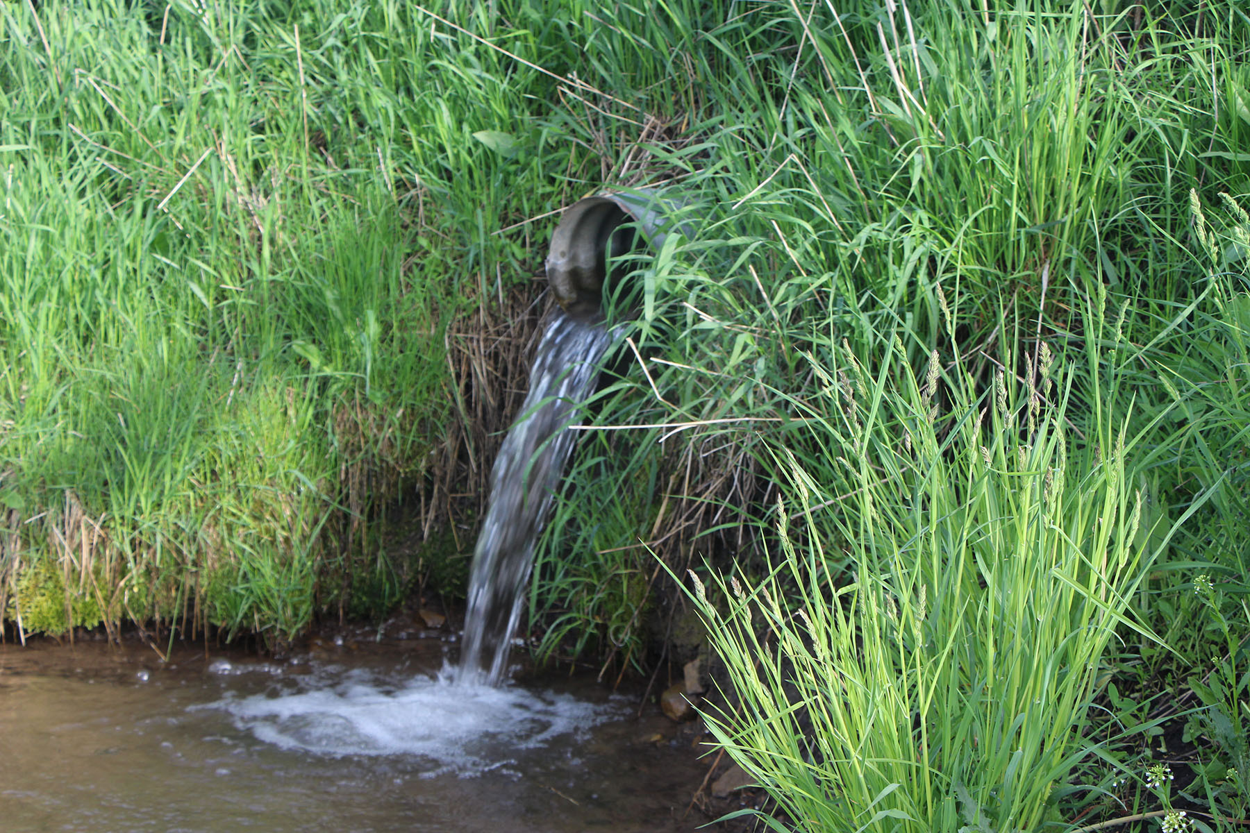 Beaver Creek Mountain Ranch property picture 3 of 10