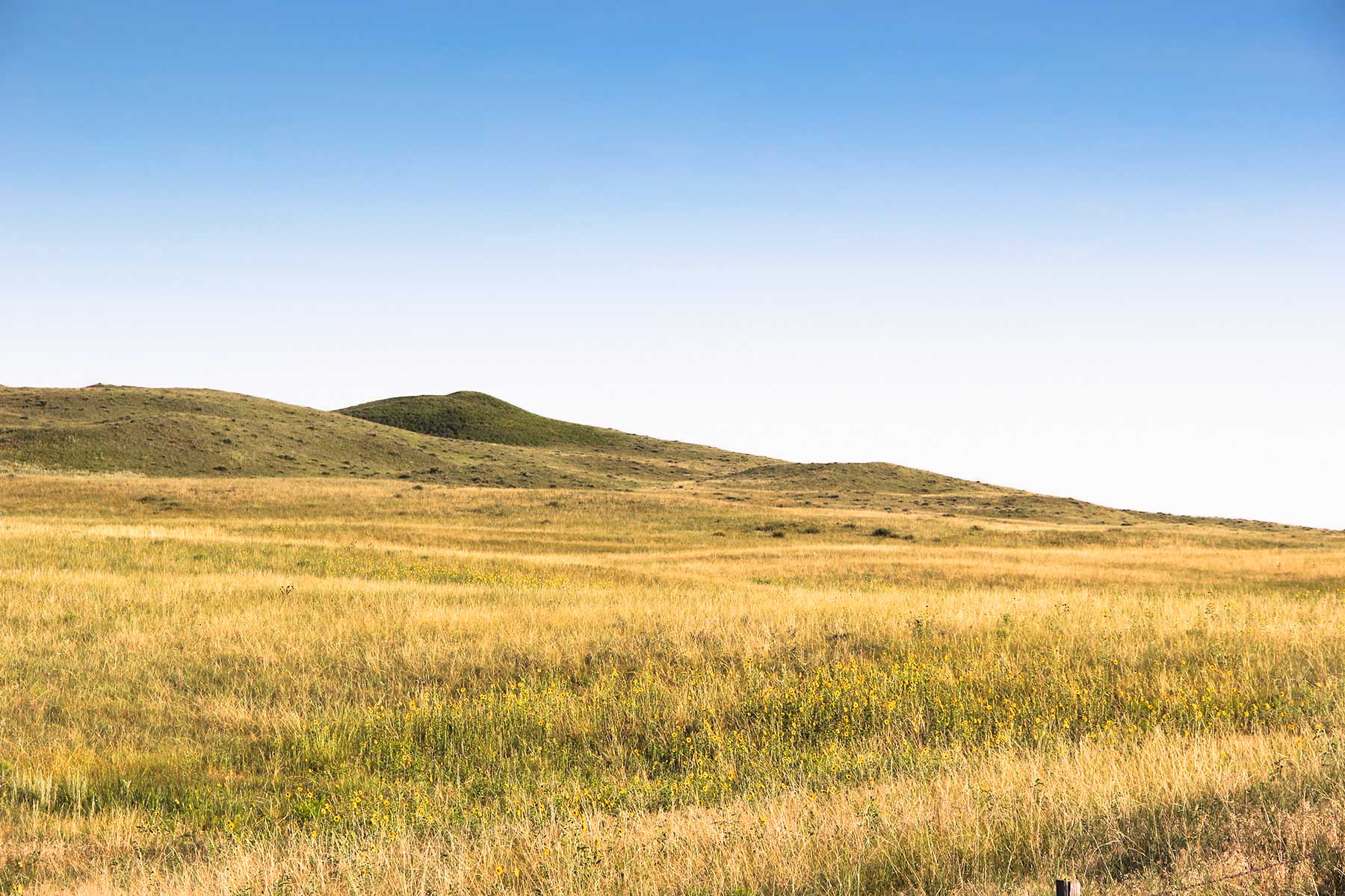 Bliss Ranch property picture 27 of 28