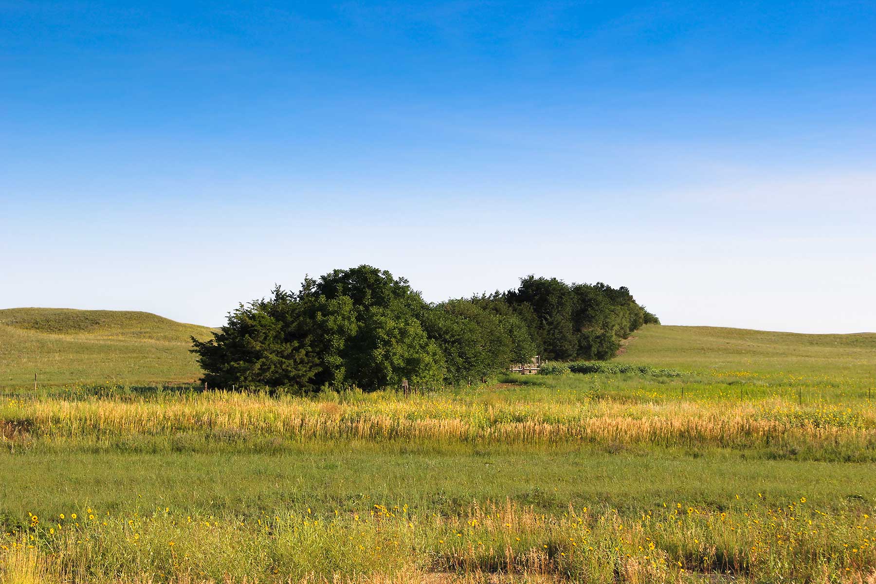 Bliss Ranch property picture 10 of 28