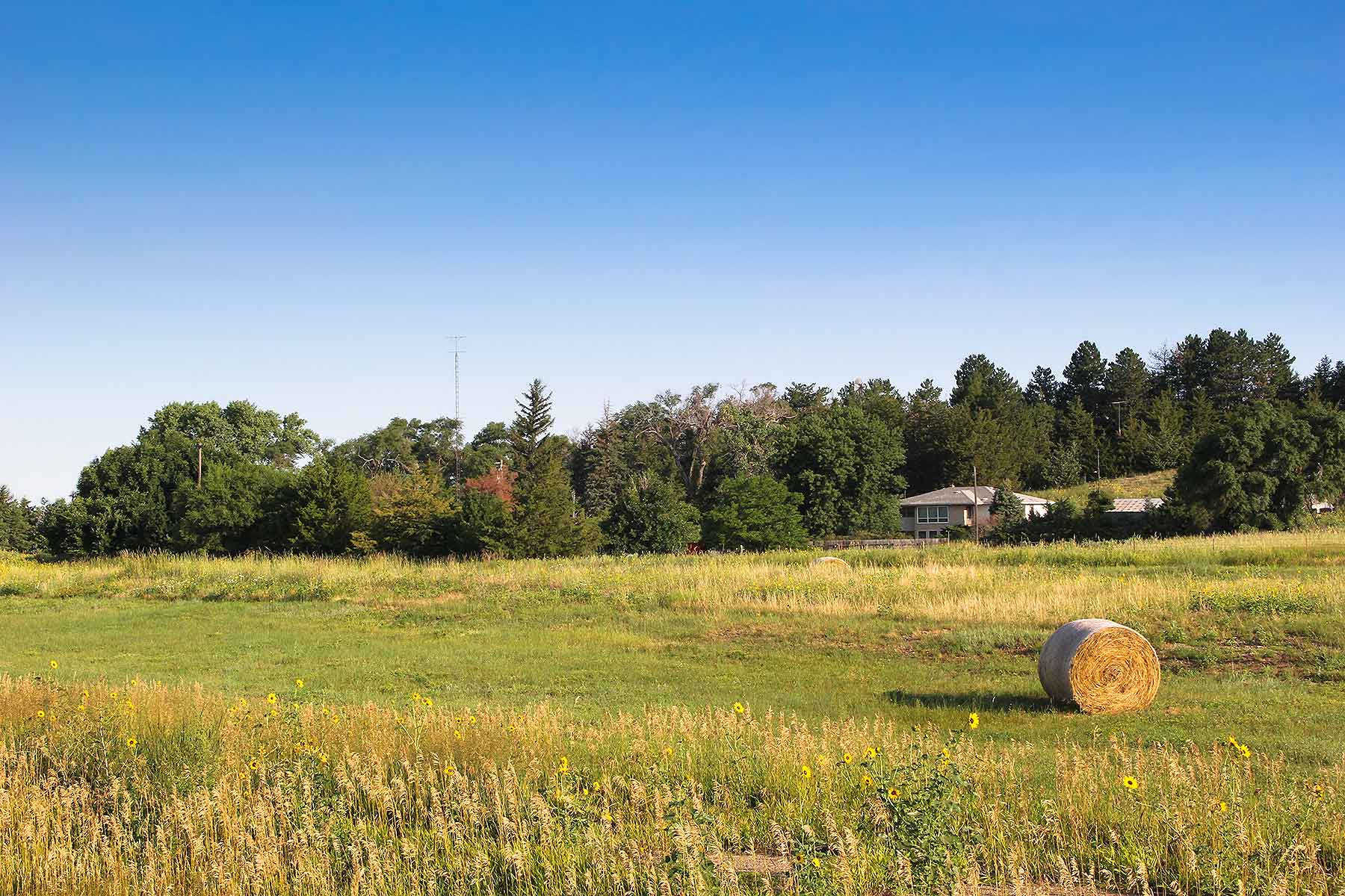 Bliss Ranch property picture 25 of 28