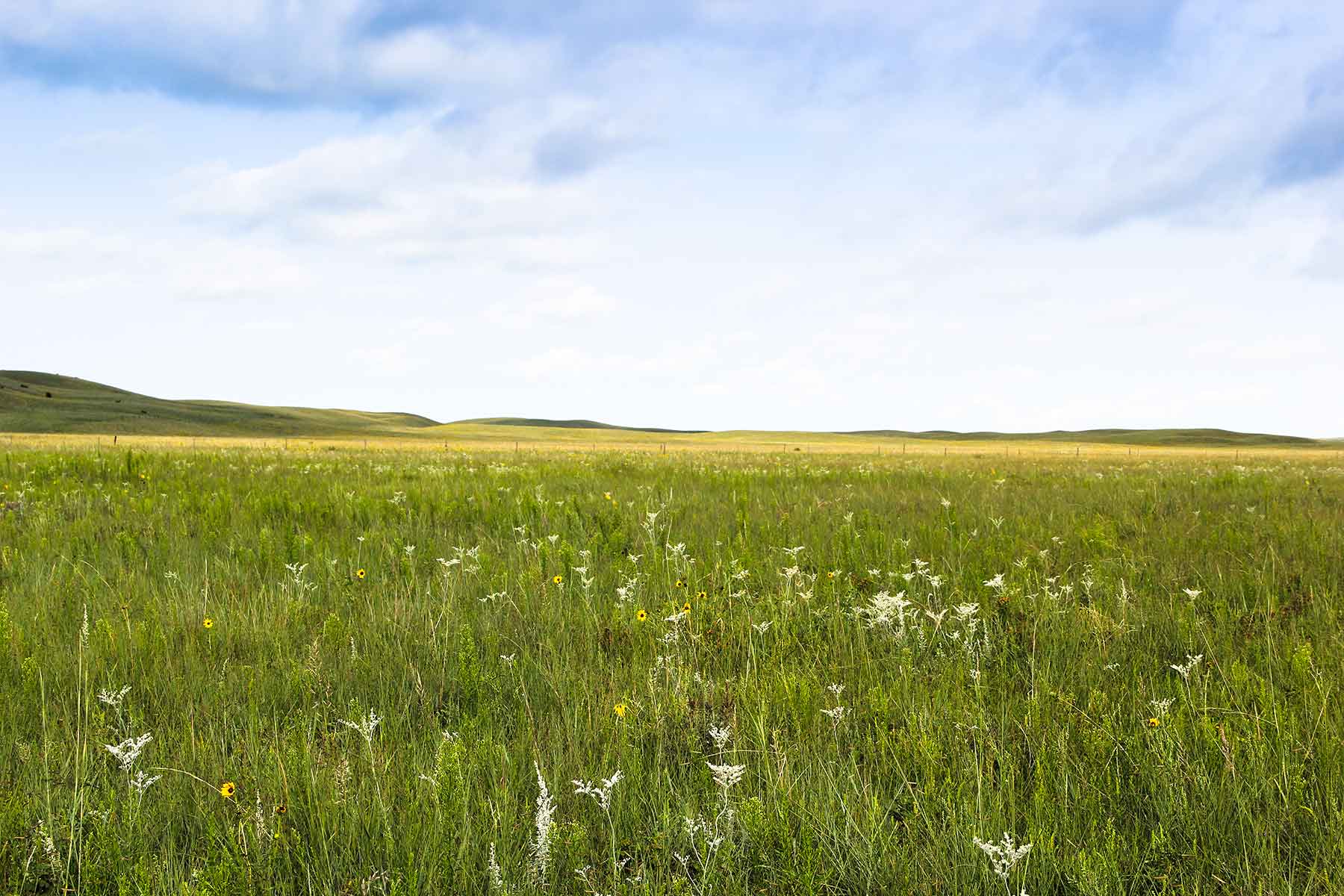 Bliss Ranch property picture 24 of 28