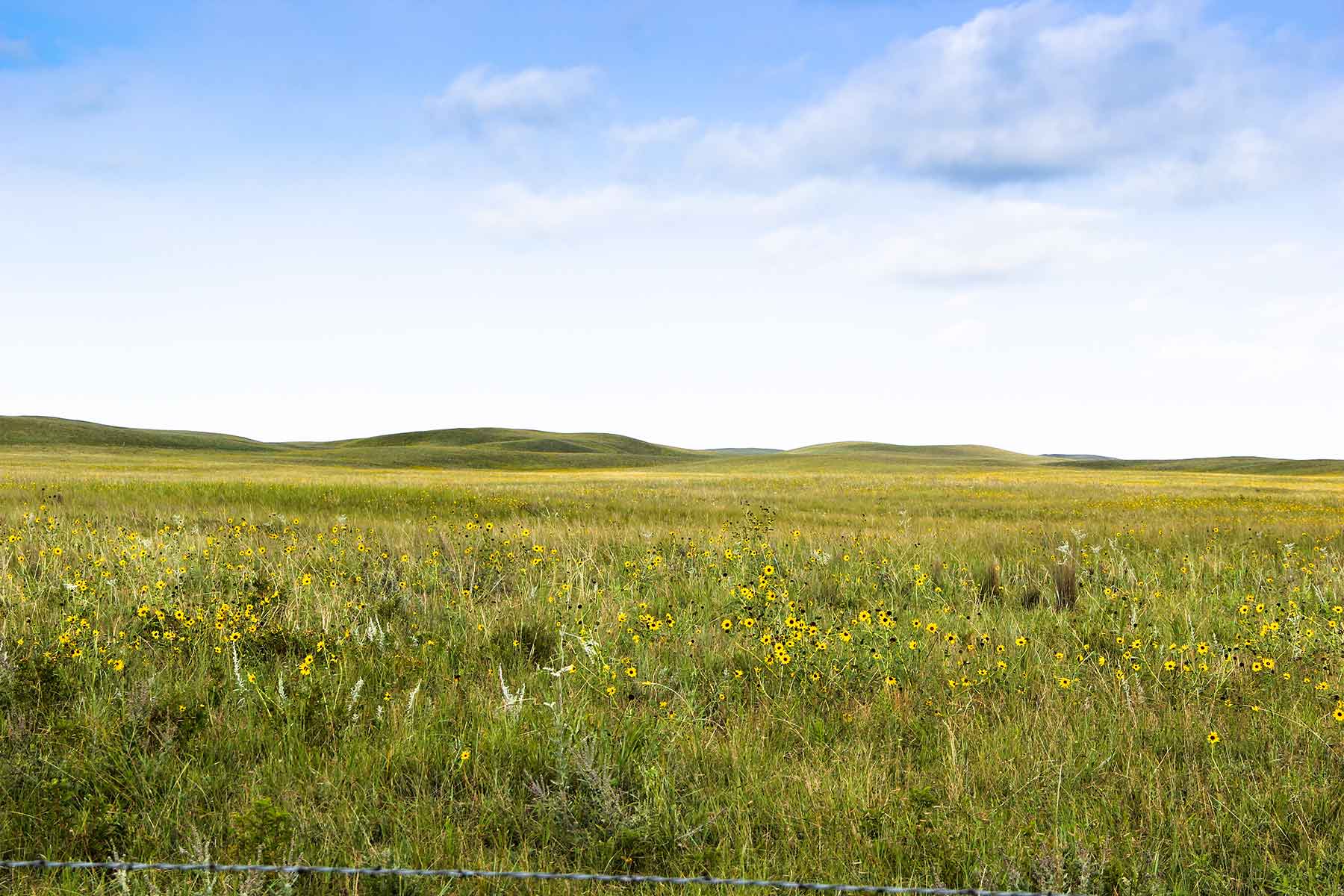 Bliss Ranch property picture 23 of 28