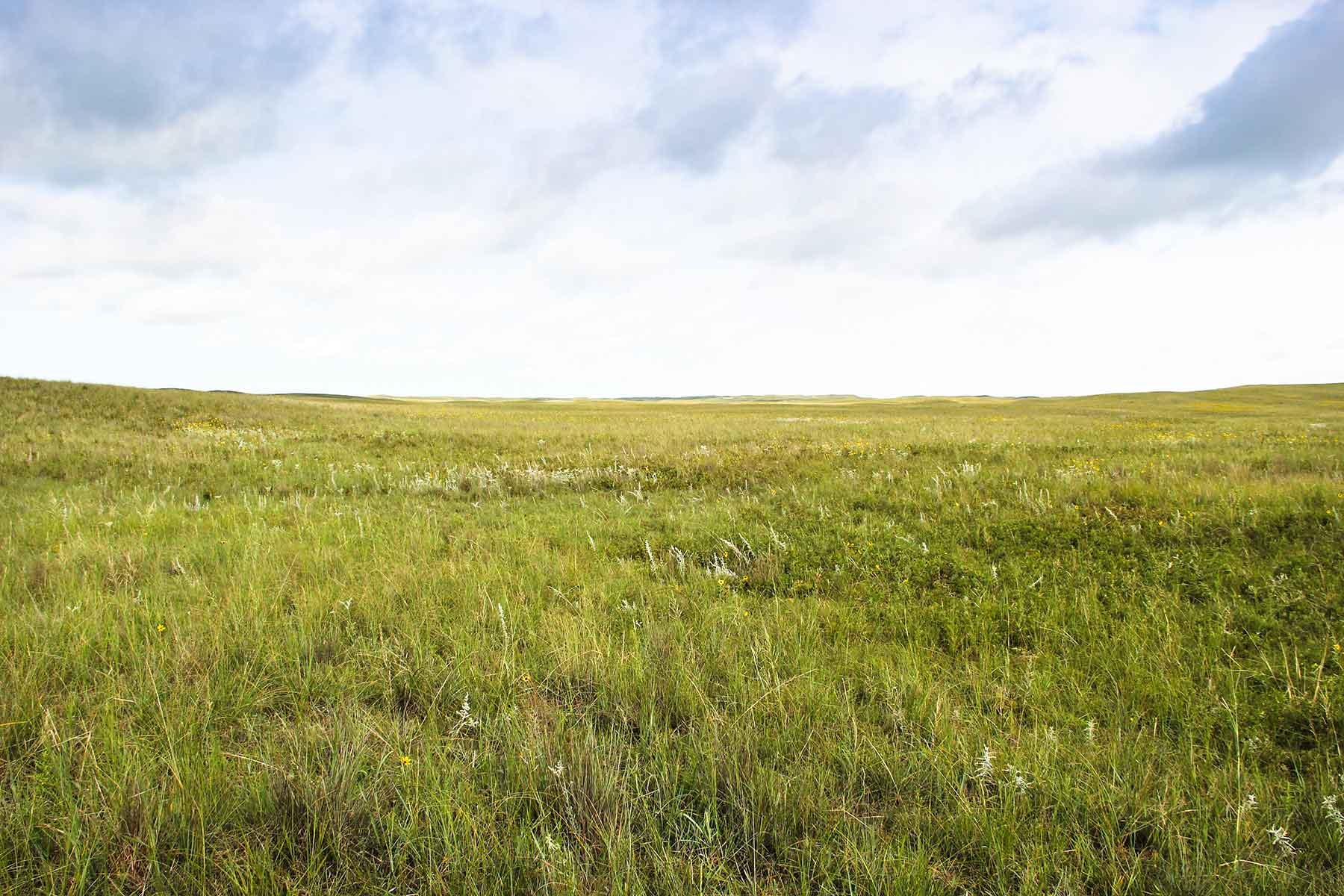 Bliss Ranch property picture 22 of 28