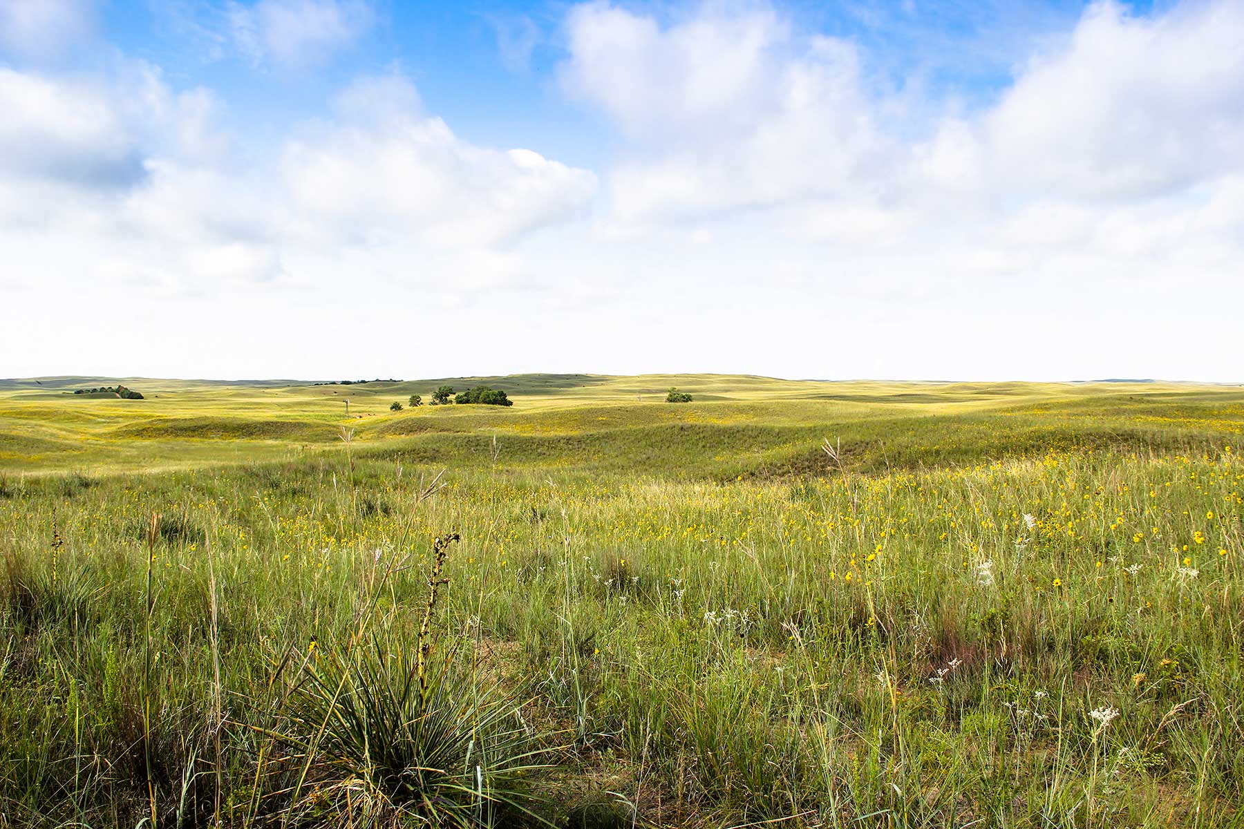 Bliss Ranch property picture 20 of 28