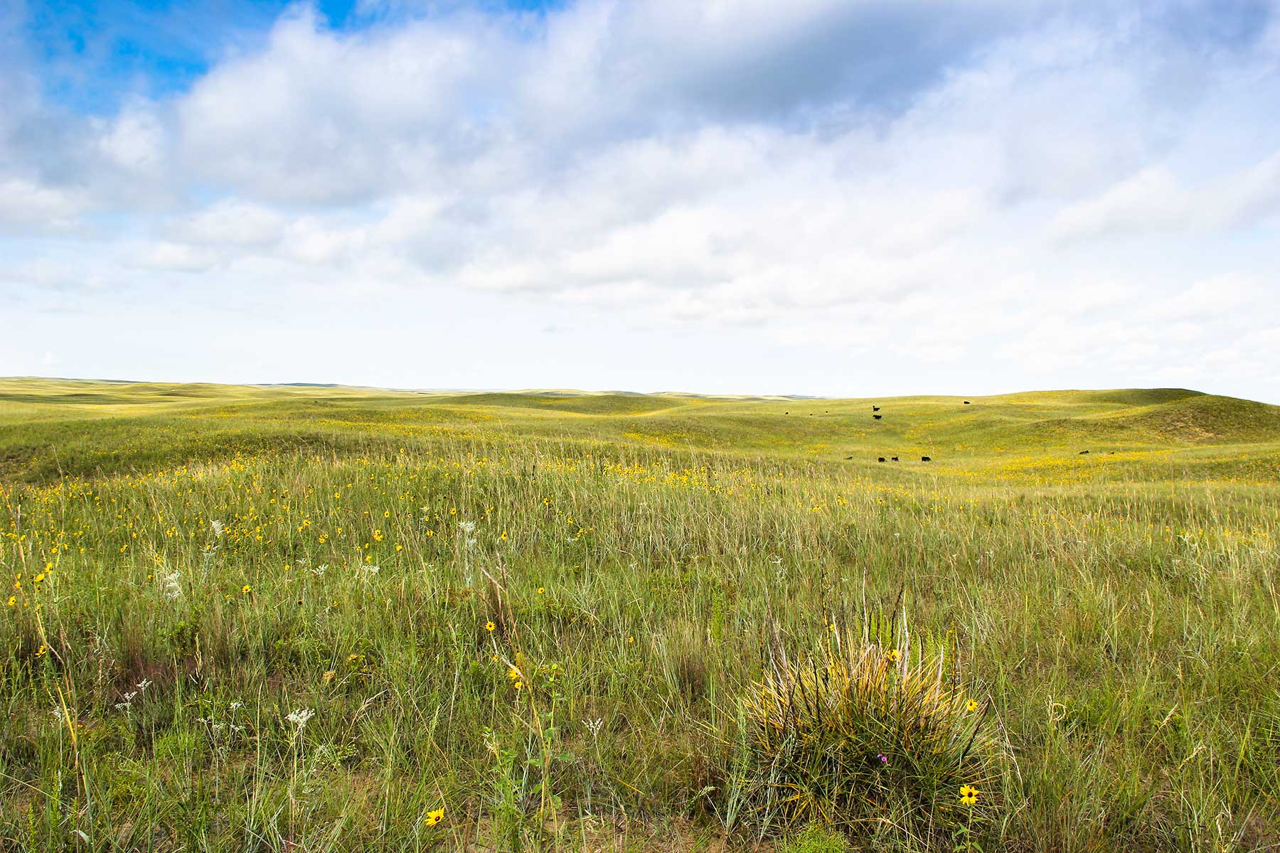 Bliss Ranch property picture 21 of 28