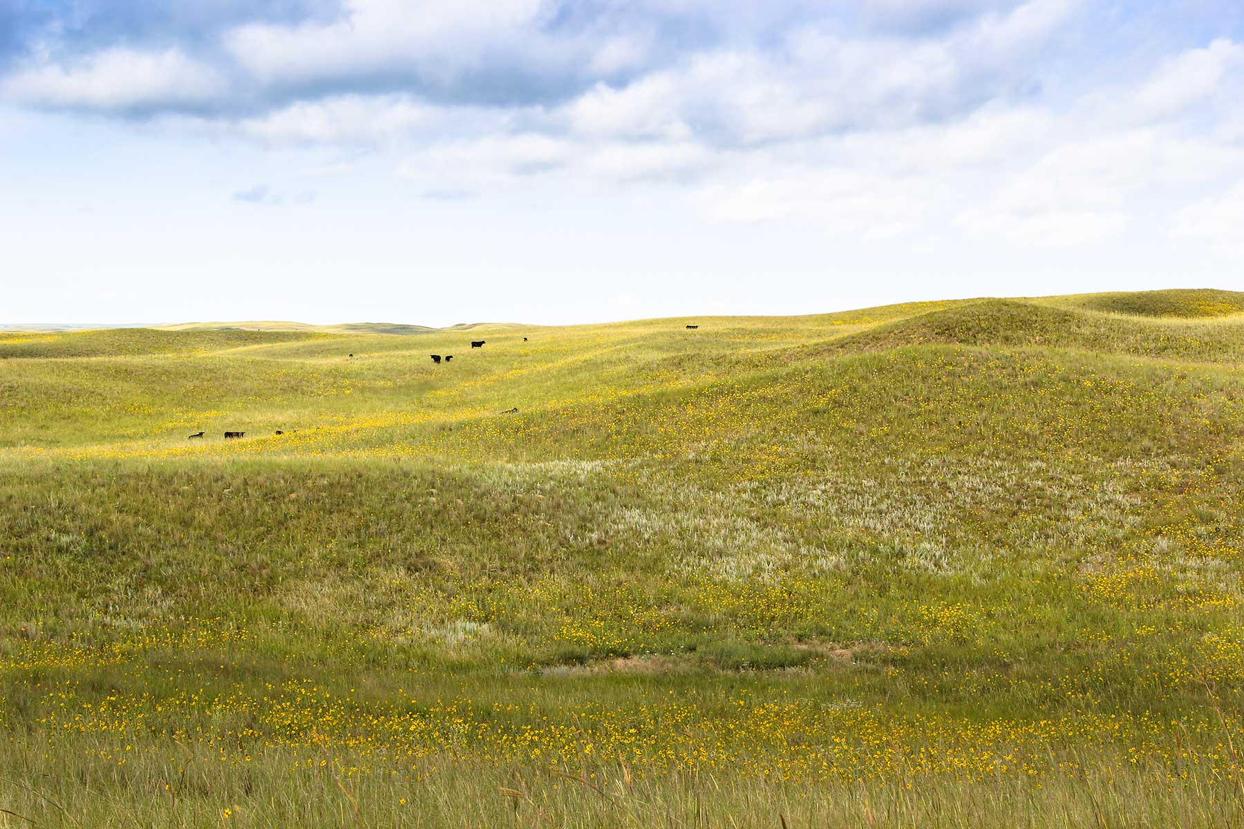 Bliss Ranch property picture 19 of 28