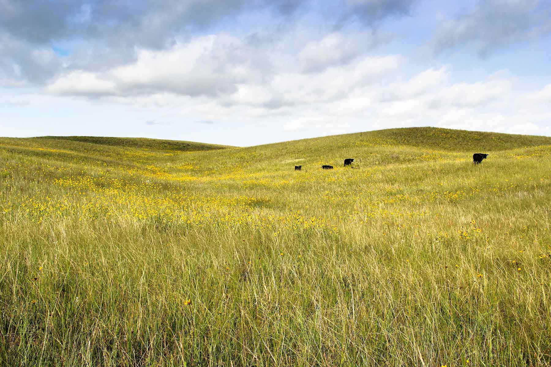 Bliss Ranch property picture 18 of 28