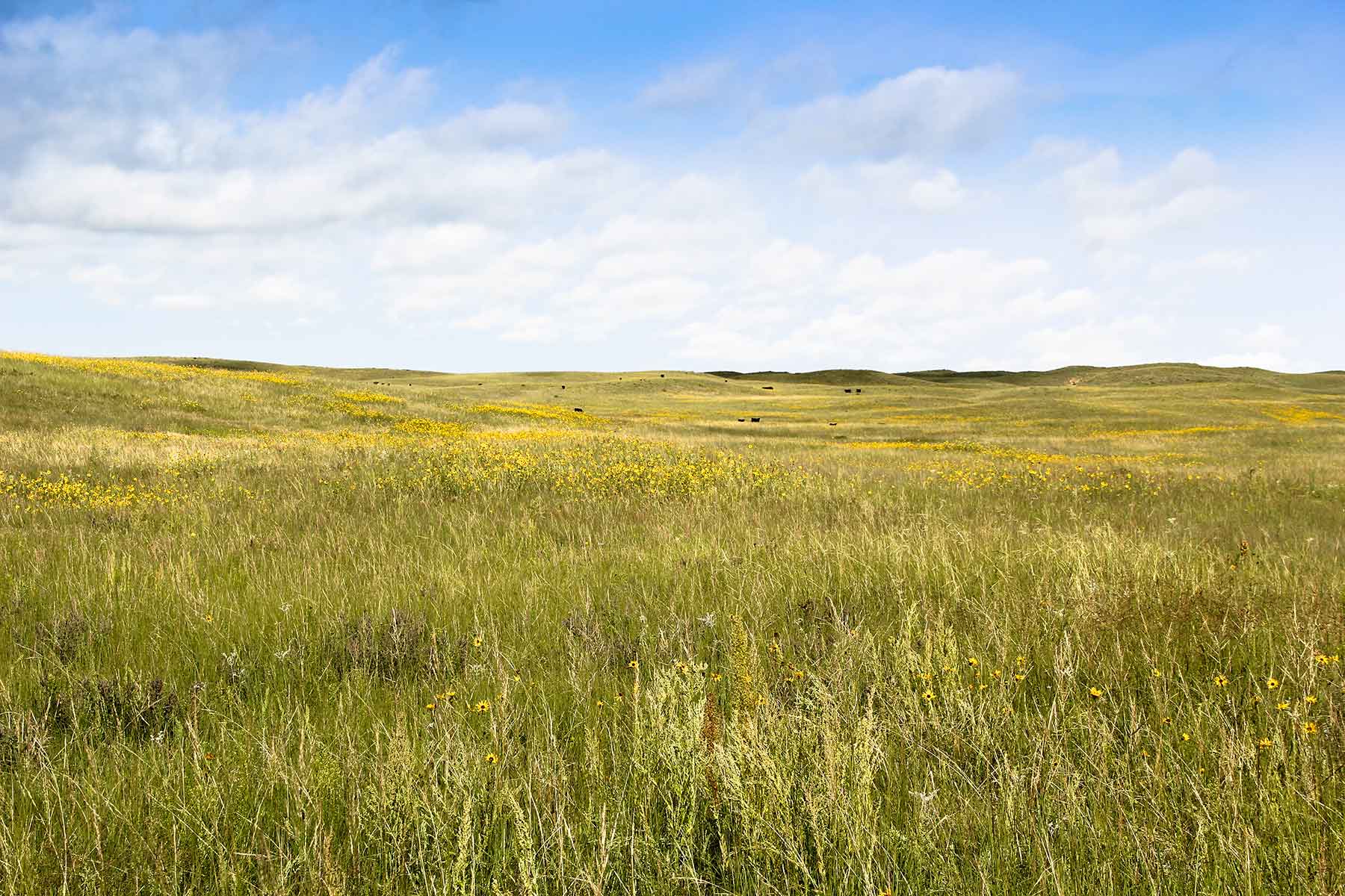 Bliss Ranch property picture 9 of 28