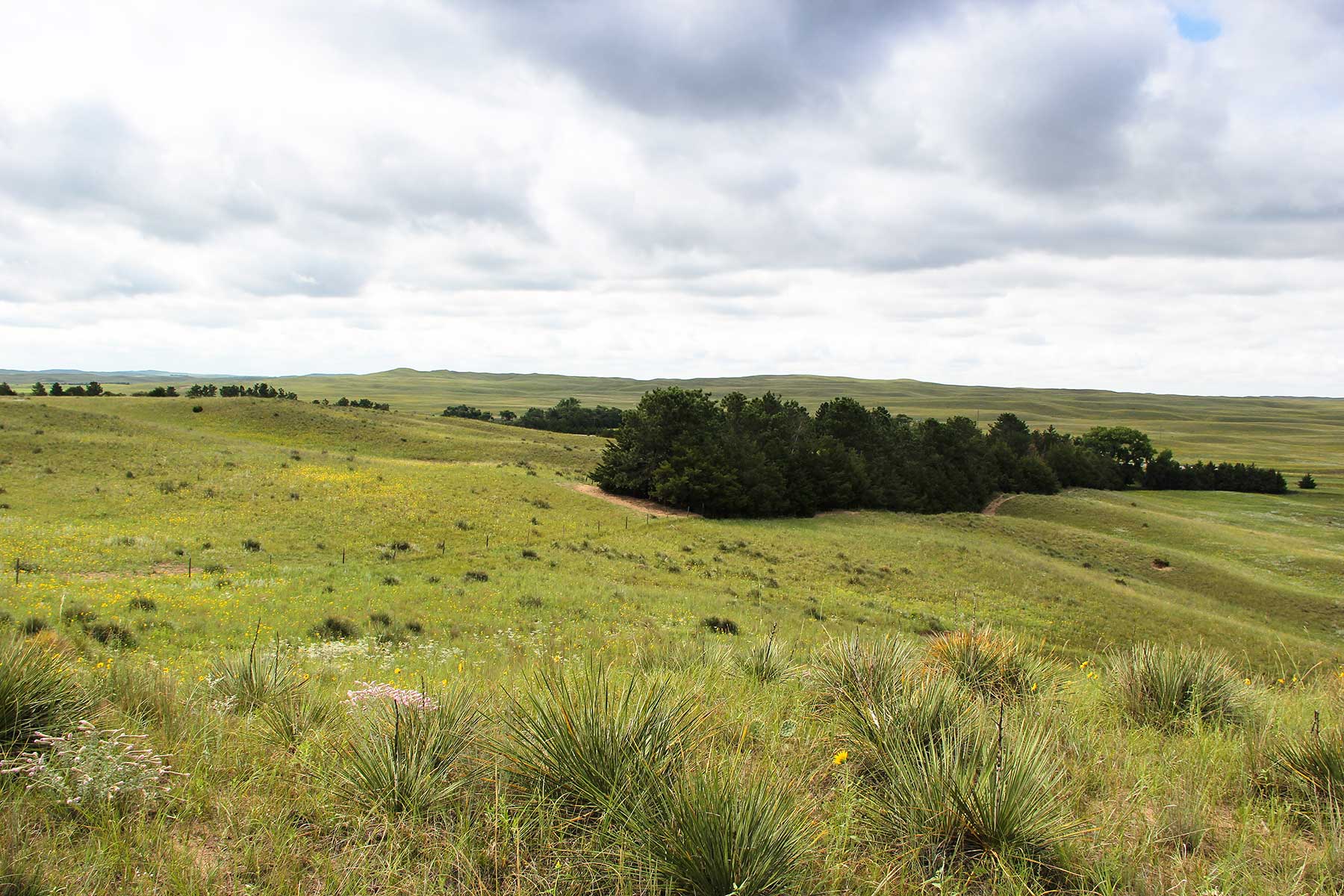 Bliss Ranch property picture 17 of 28