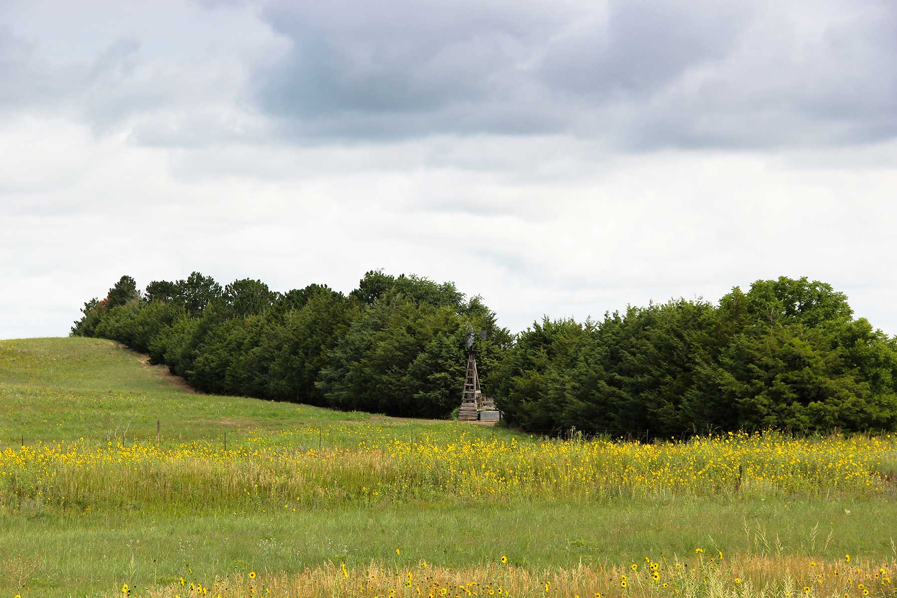 Bliss Ranch property picture 7 of 28