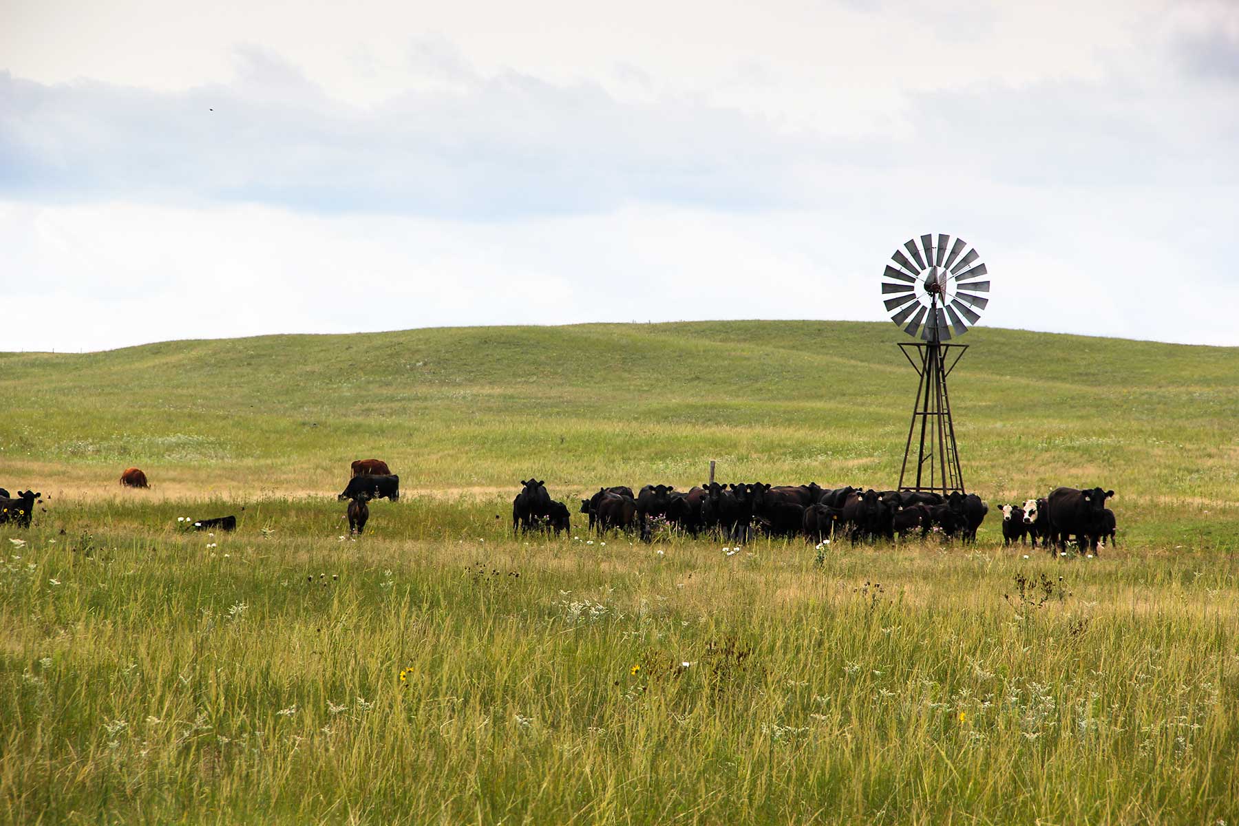 Bliss Ranch property picture 8 of 28