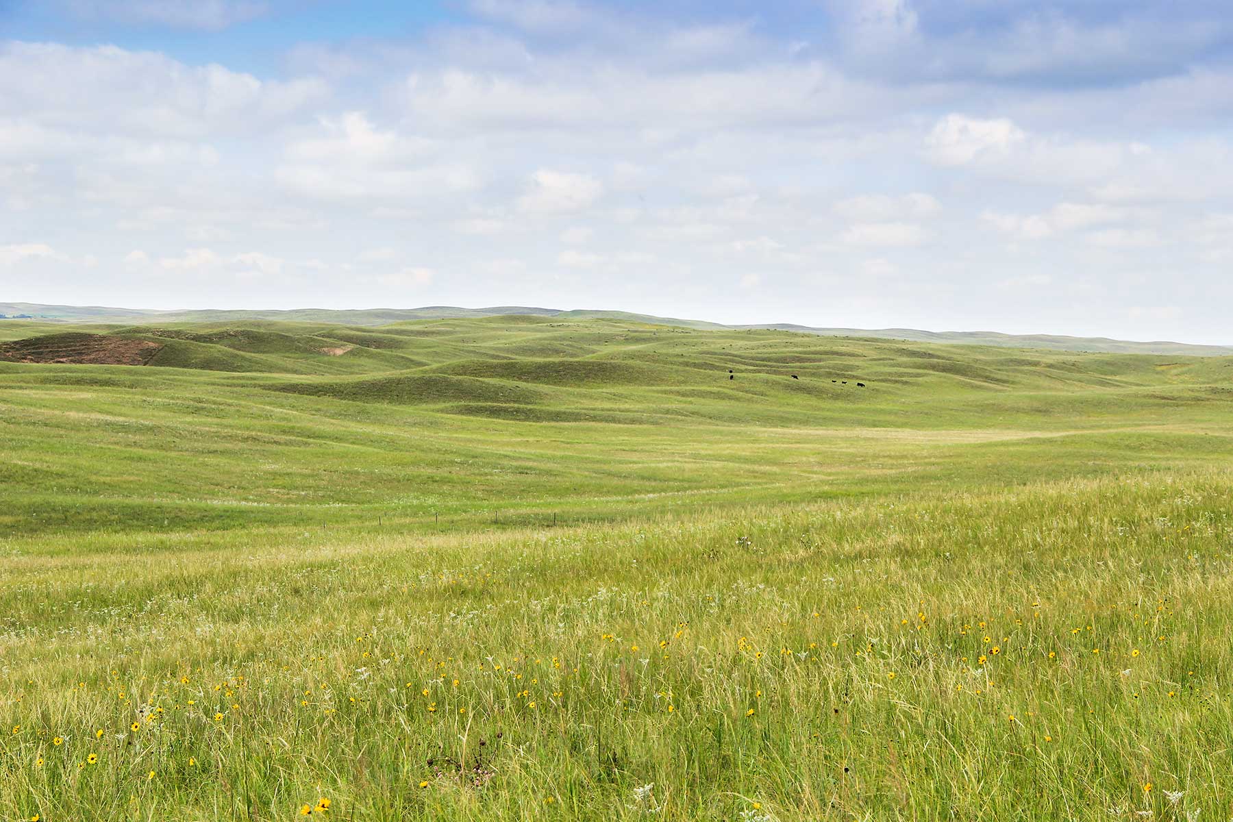 Bliss Ranch property picture 15 of 28