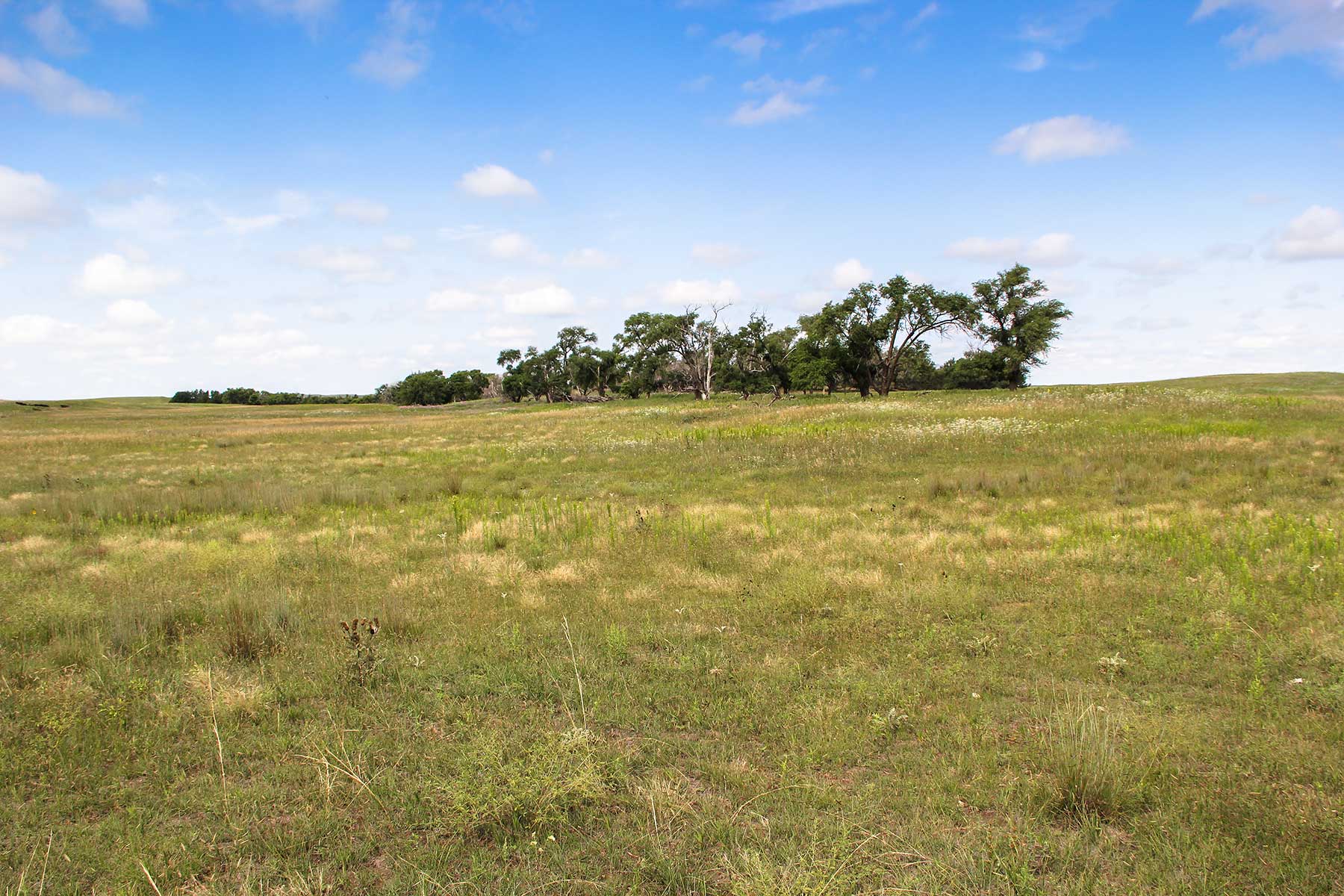 Bliss Ranch property picture 4 of 28