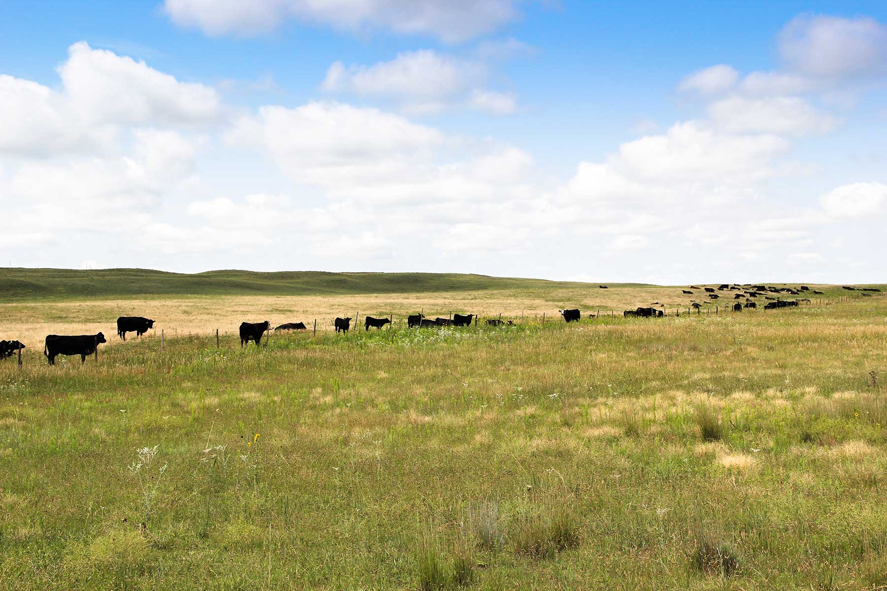 Bliss Ranch property picture 3 of 28