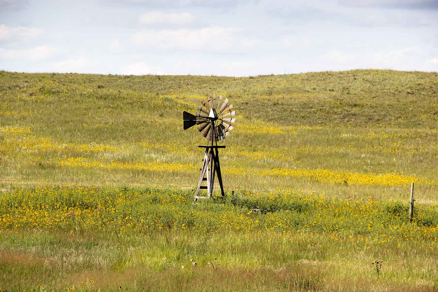 Bliss Ranch property picture 14 of 28