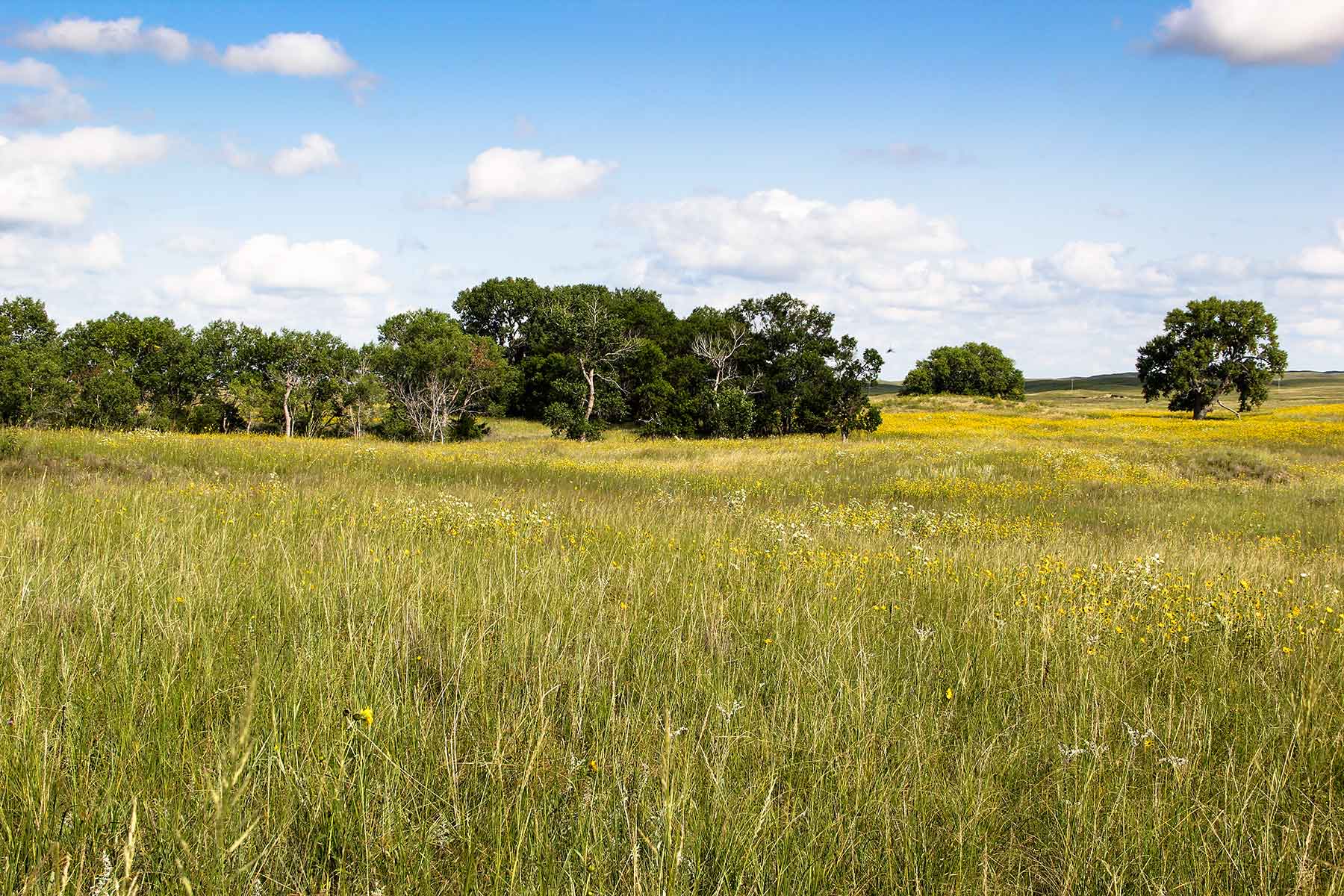 Bliss Ranch property picture 2 of 28