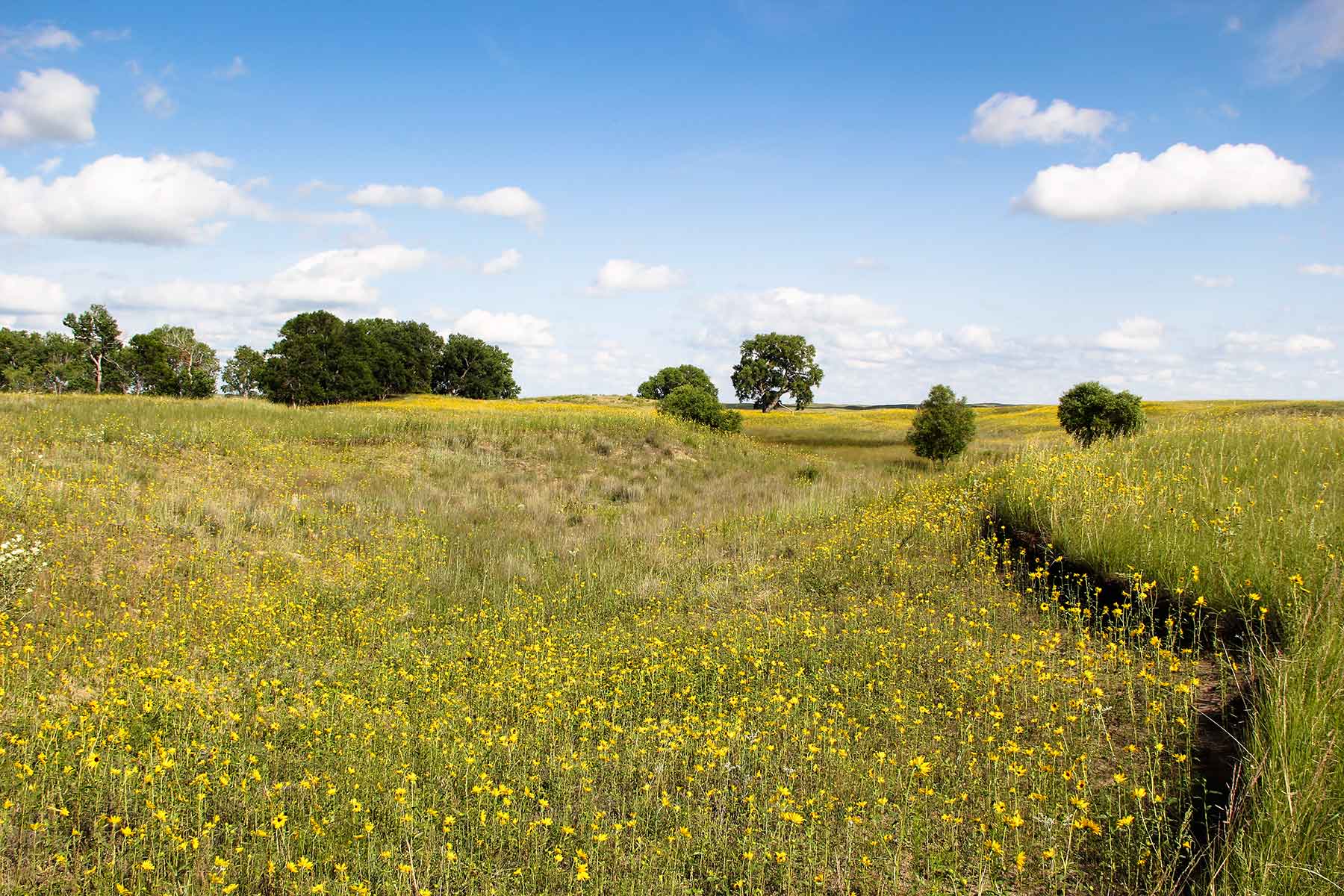 Bliss Ranch property picture 12 of 28