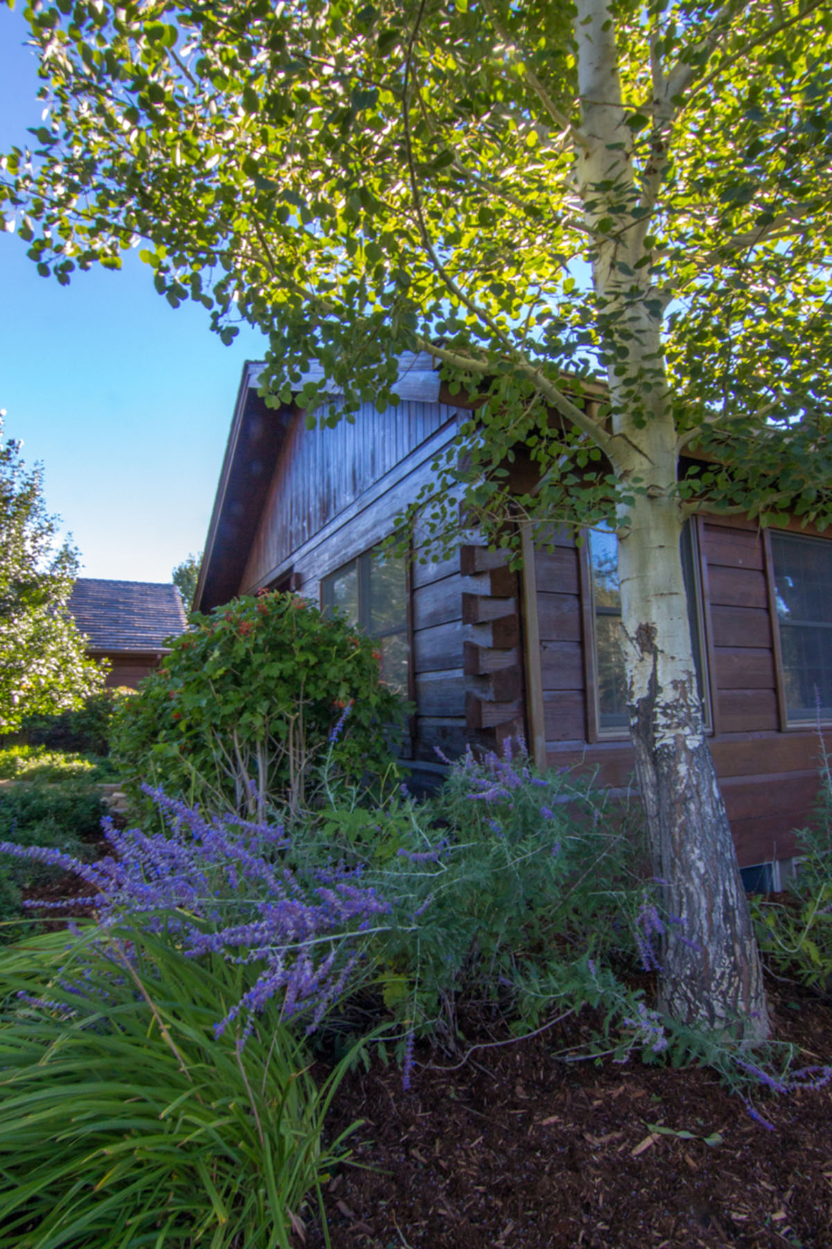 Crown Creek Ranch property picture 6 of 10