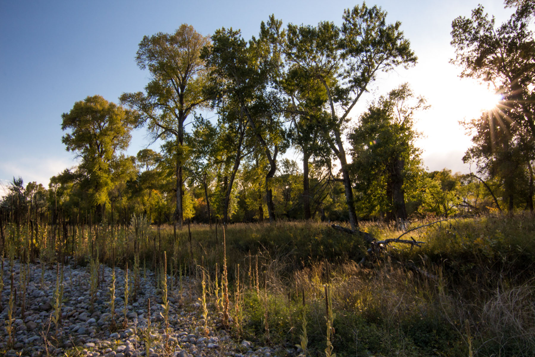 Crown Creek Ranch property picture 5 of 10