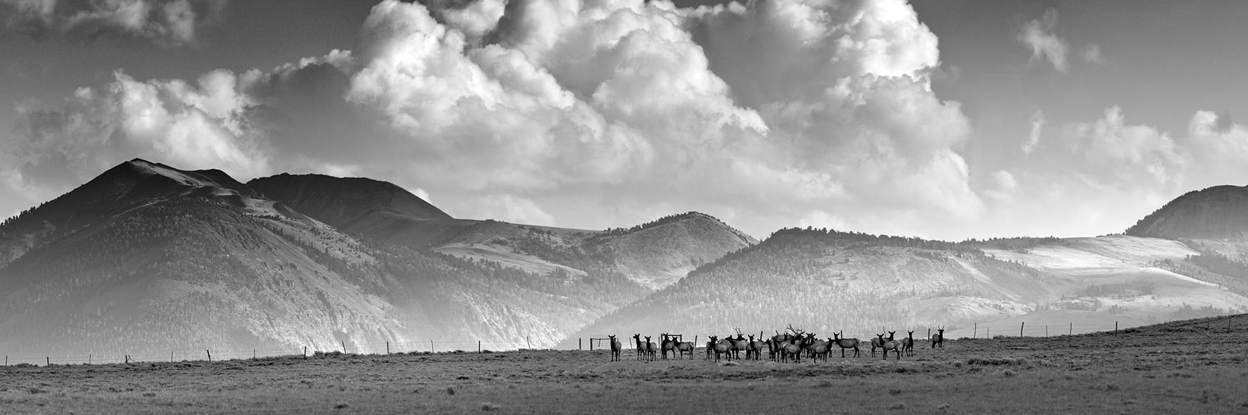 Simpson Creek Ranch property picture 52 of 54