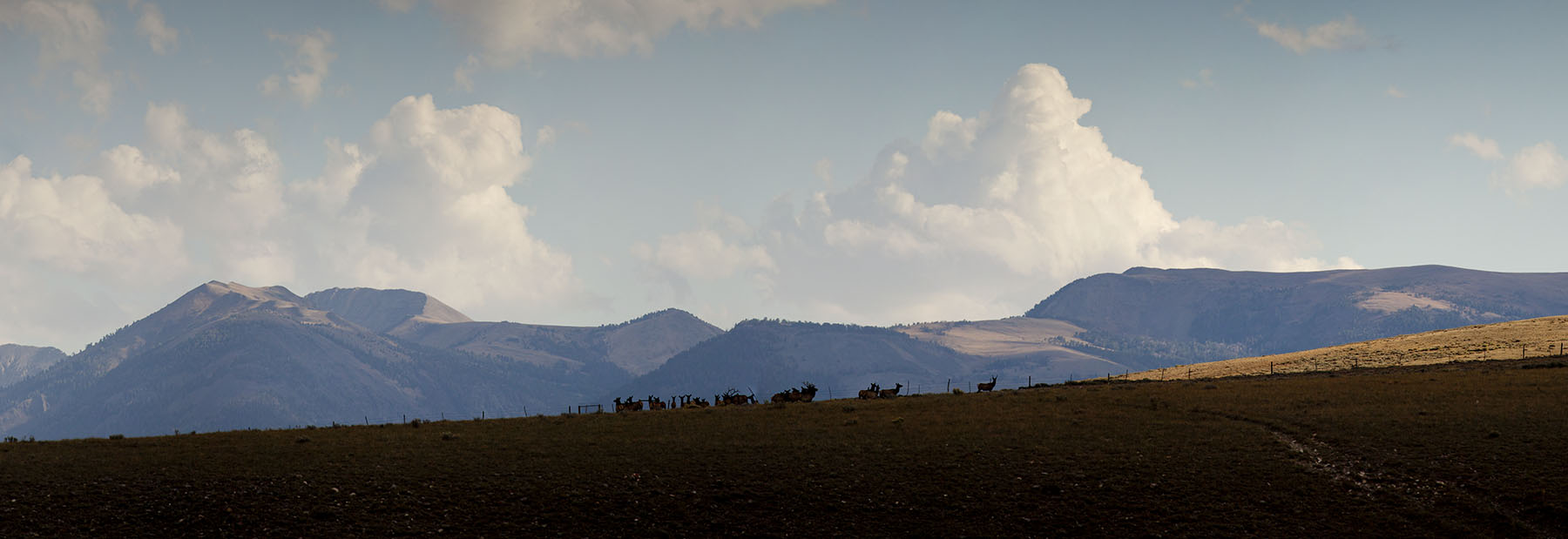 Simpson Creek Ranch property picture 51 of 54