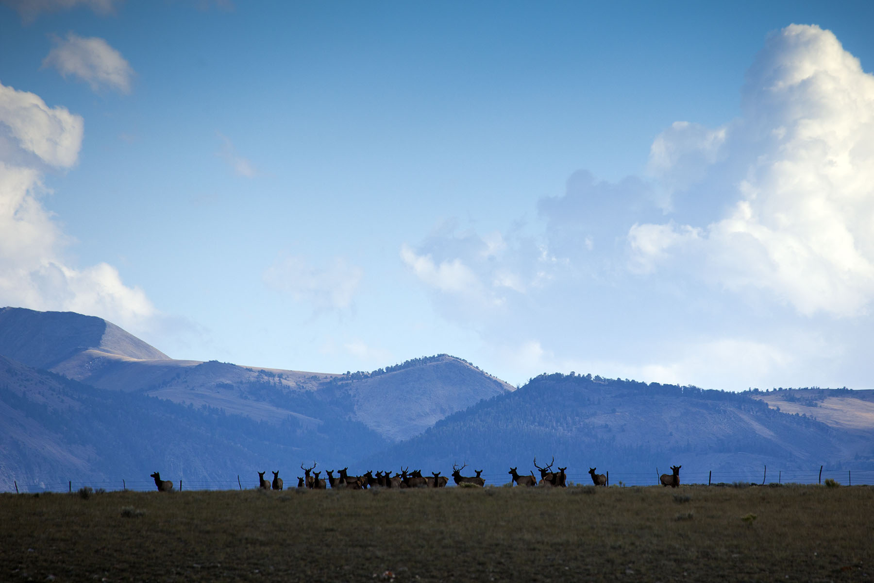 Simpson Creek Ranch property picture 50 of 54