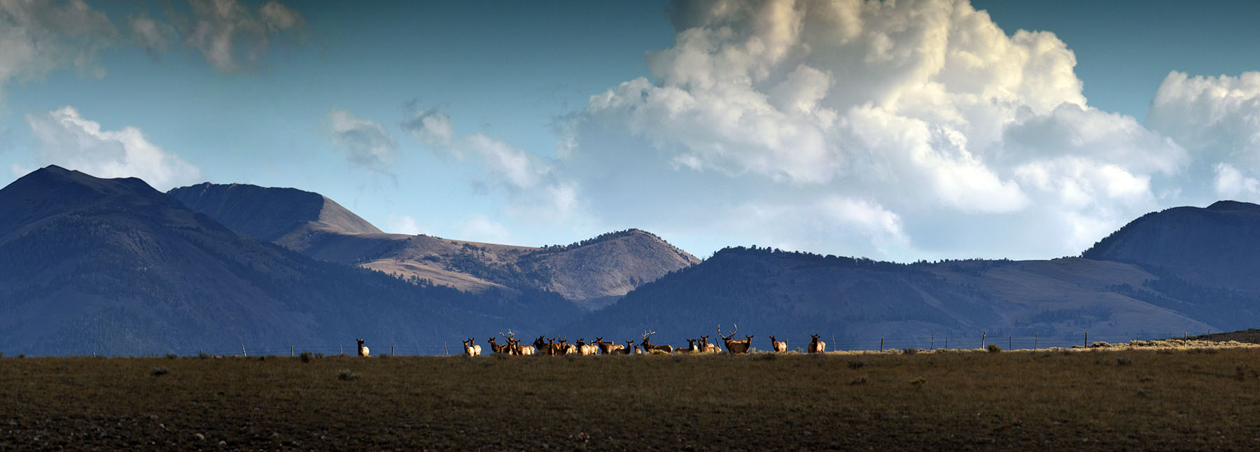 Simpson Creek Ranch property picture 48 of 54