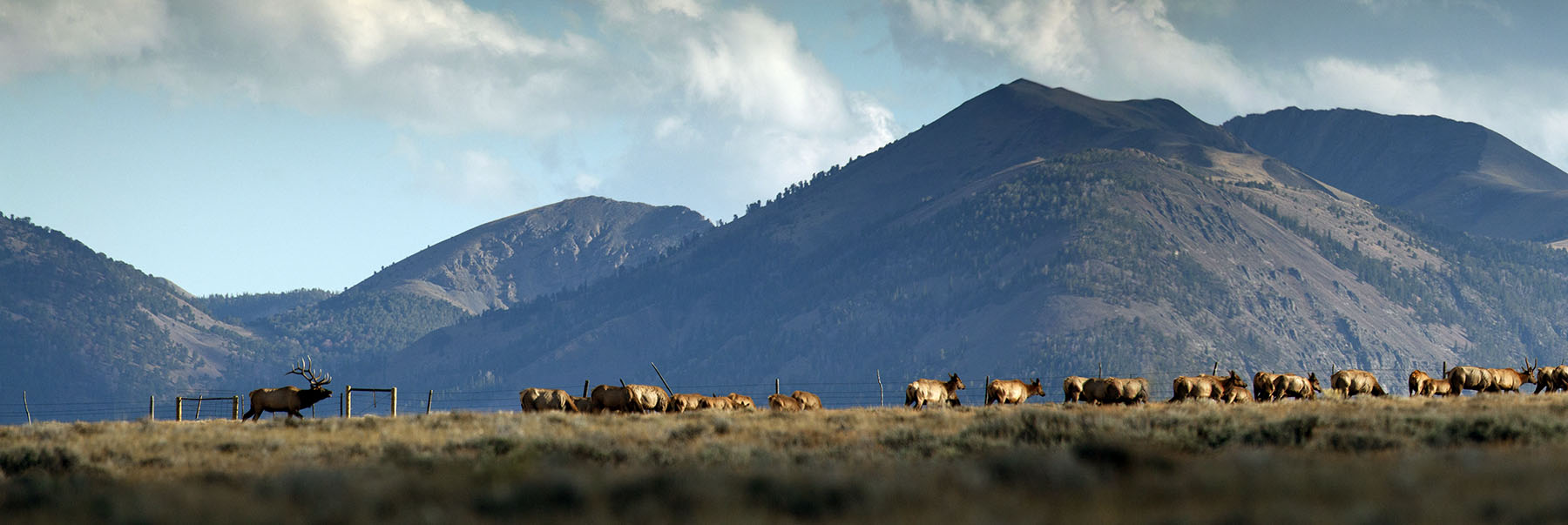 Simpson Creek Ranch property picture 46 of 54