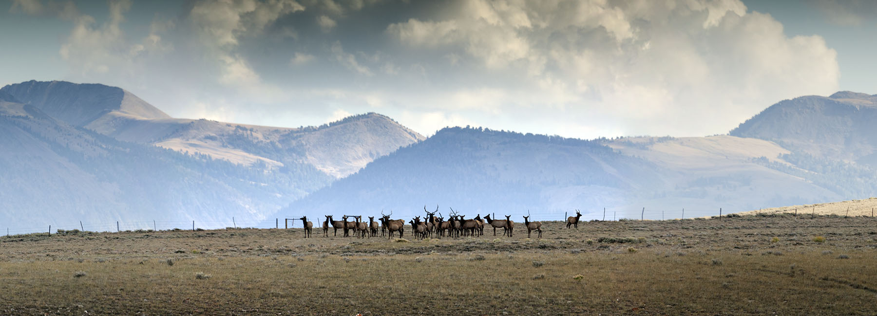 Simpson Creek Ranch property picture 9 of 54