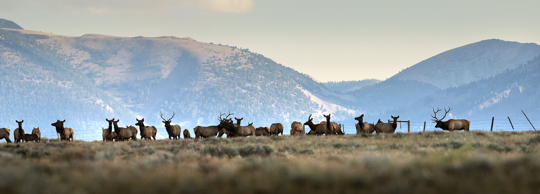 Simpson Creek Ranch property picture 8 of 54