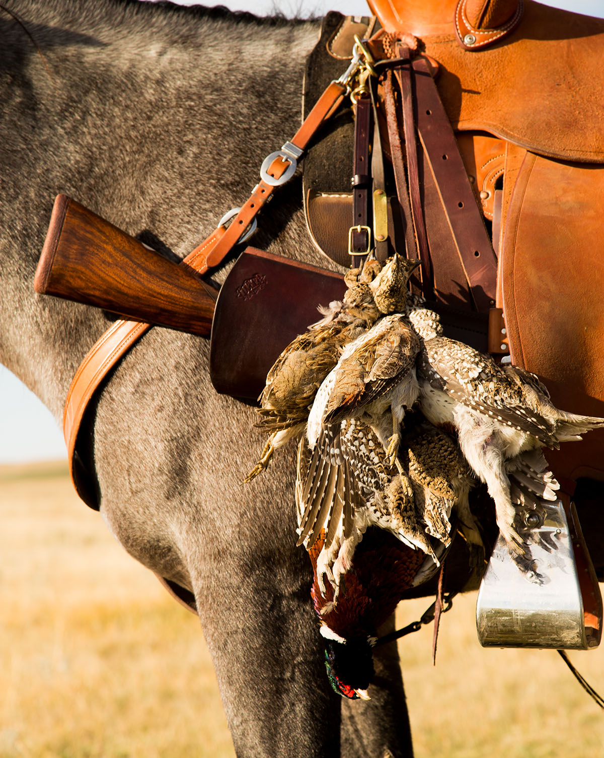 IX Ranch property picture 1 of 94
