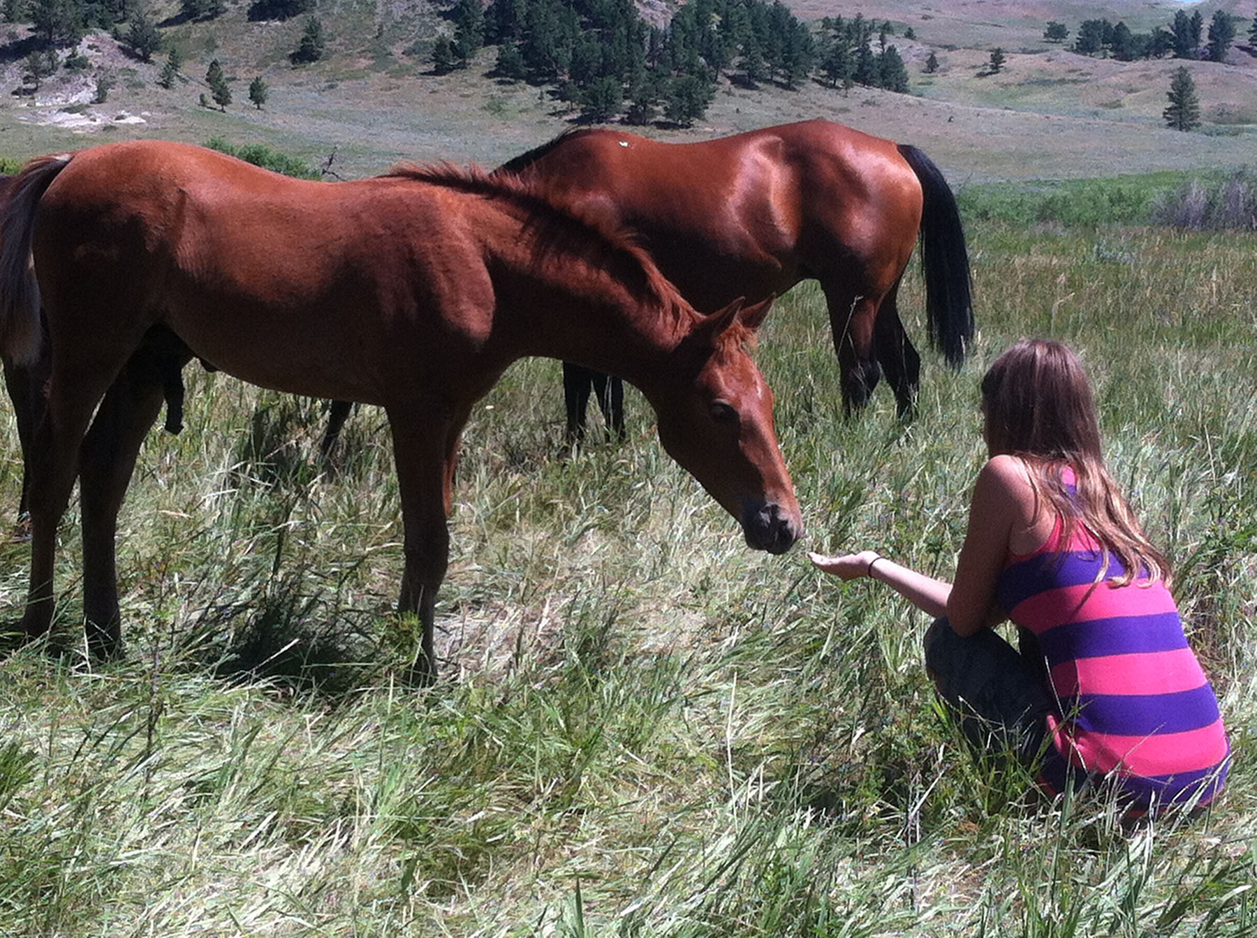 IX Ranch property picture 56 of 94