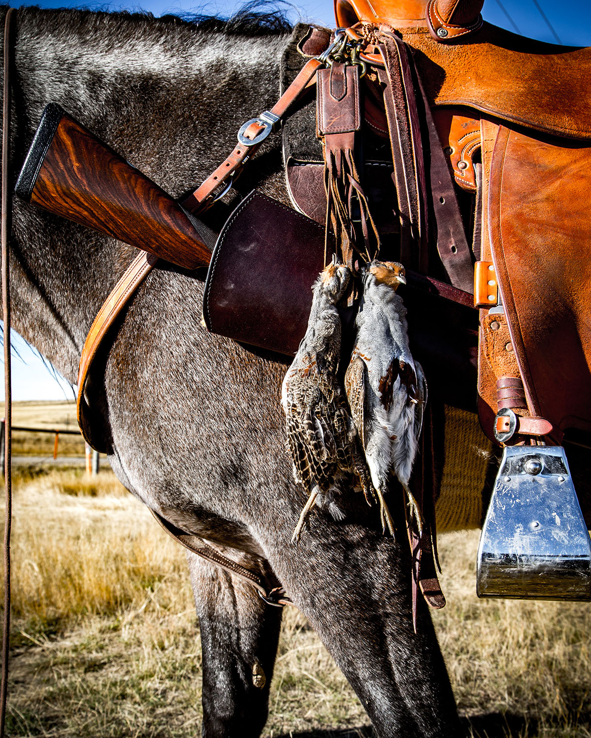 IX Ranch property picture 4 of 94