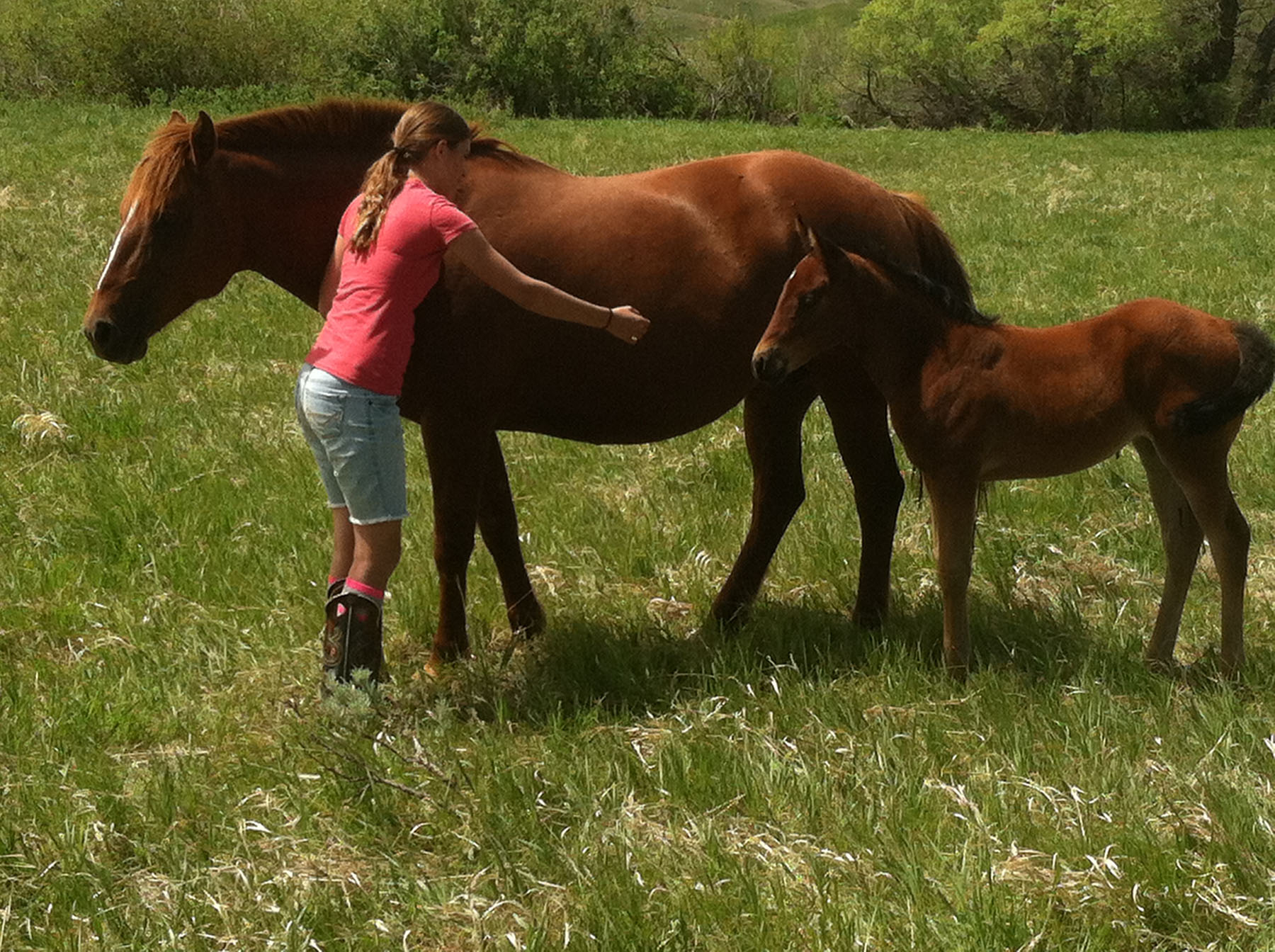 IX Ranch property picture 32 of 94