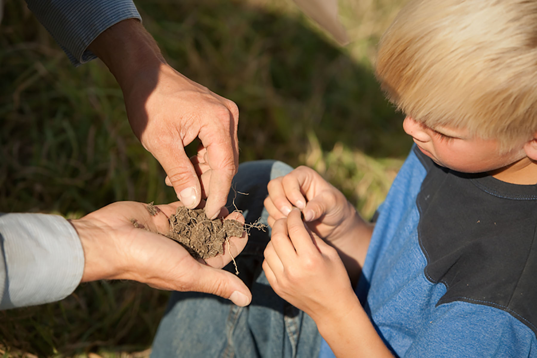 IX Ranch property picture 40 of 94