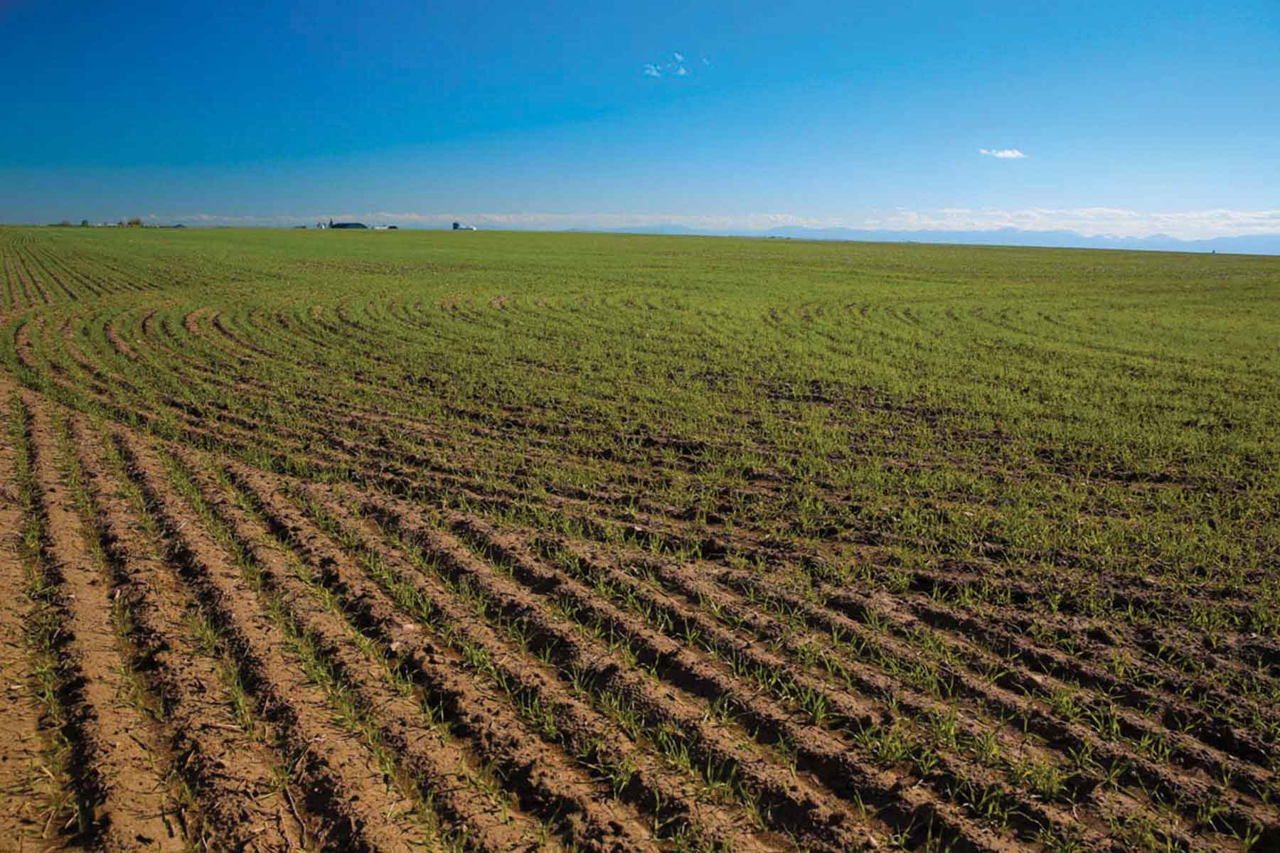 Porter Bench Farm property picture 1 of 1