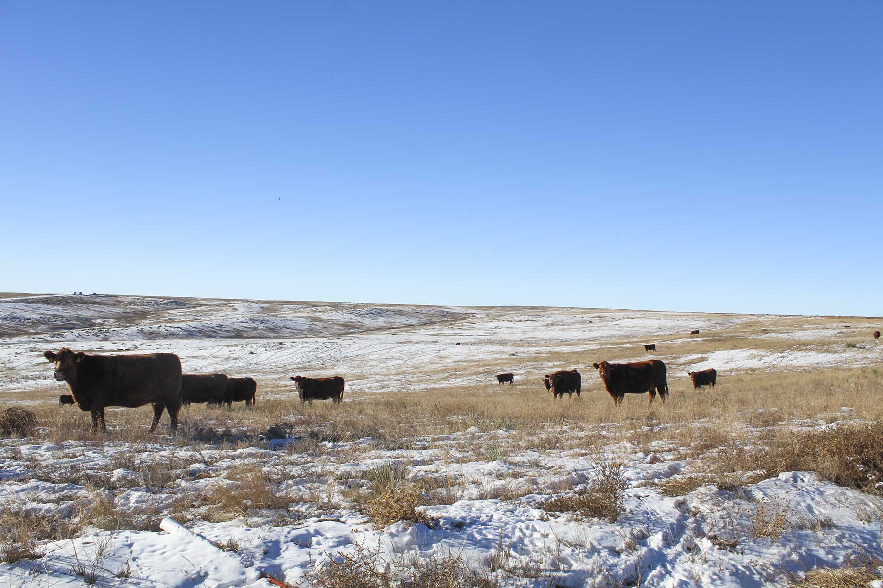 Quincy Farm II property picture 3 of 23