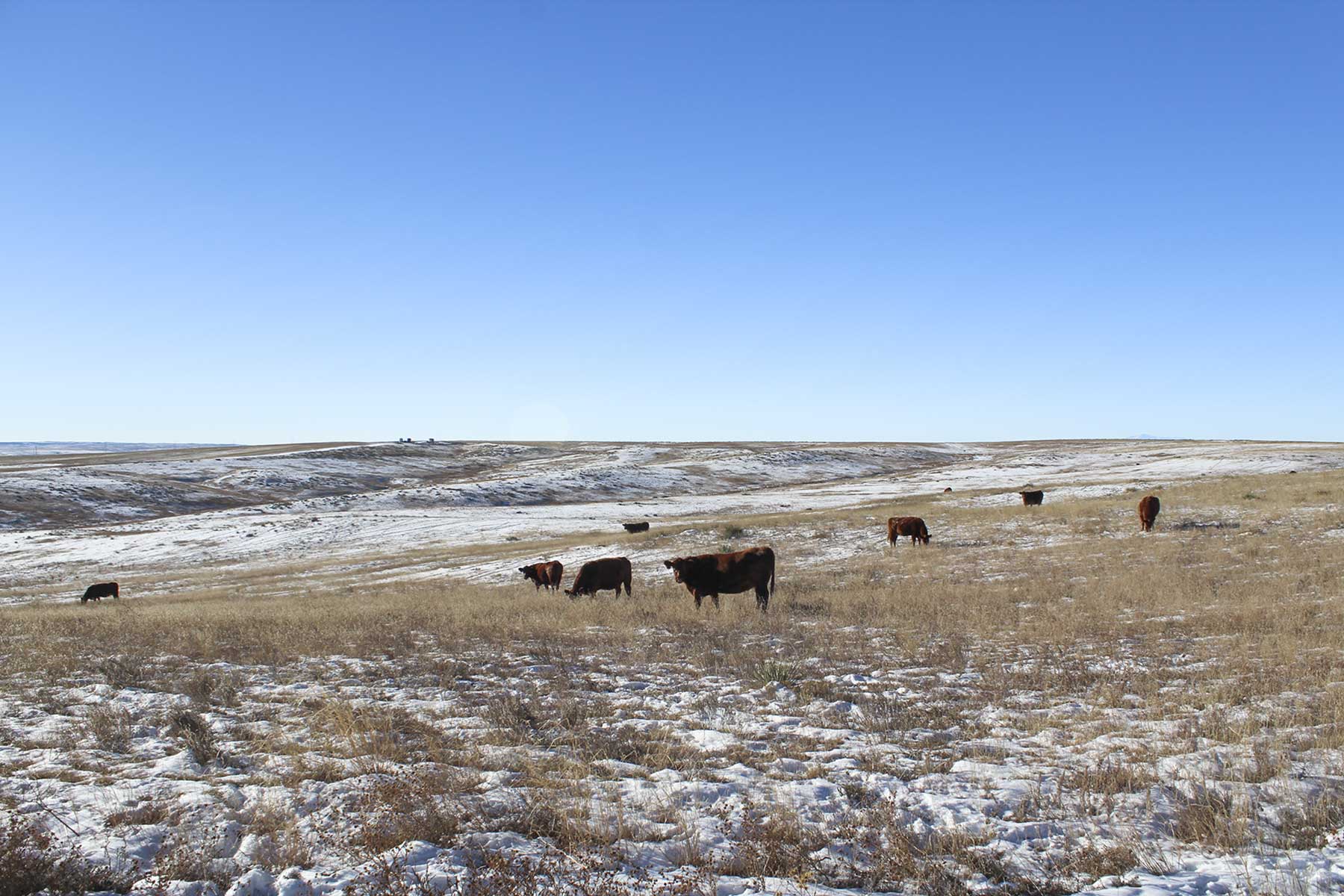 Quincy Farm II property picture 5 of 23
