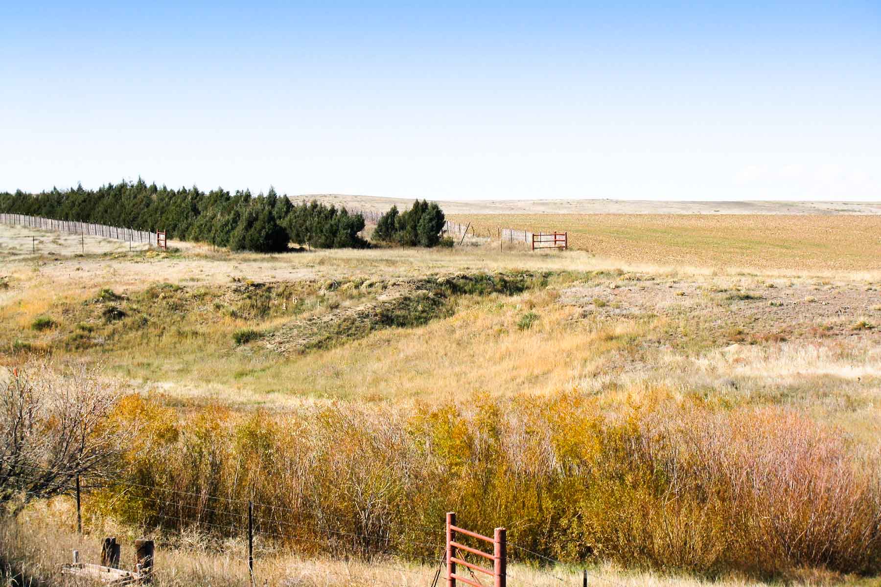 Quincy Farm II property picture 21 of 23