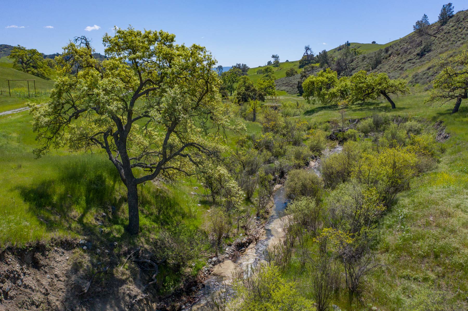 Rancho Latigo Auction property picture 40 of 46