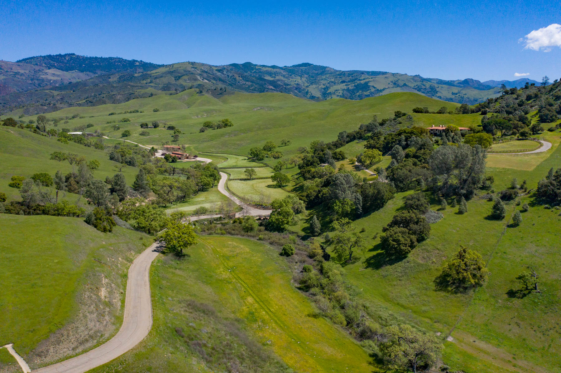 Rancho Latigo Auction property picture 7 of 46