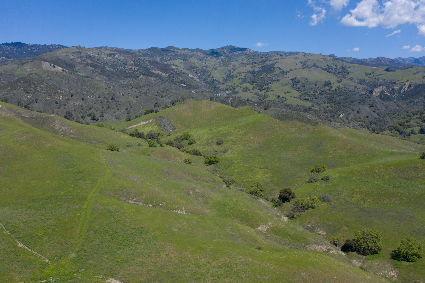 Rancho Latigo Auction property picture 44 of 46