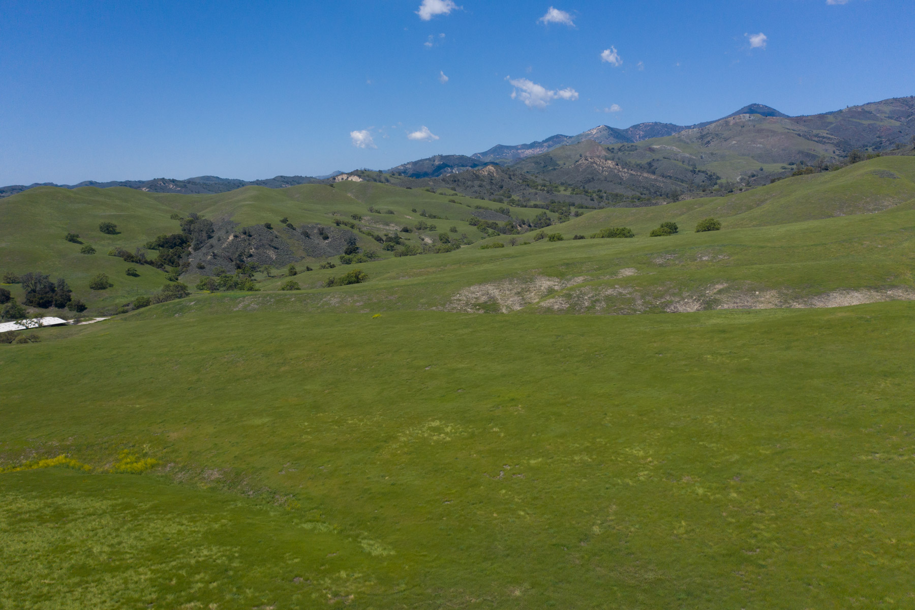 Rancho Latigo Auction property picture 39 of 46